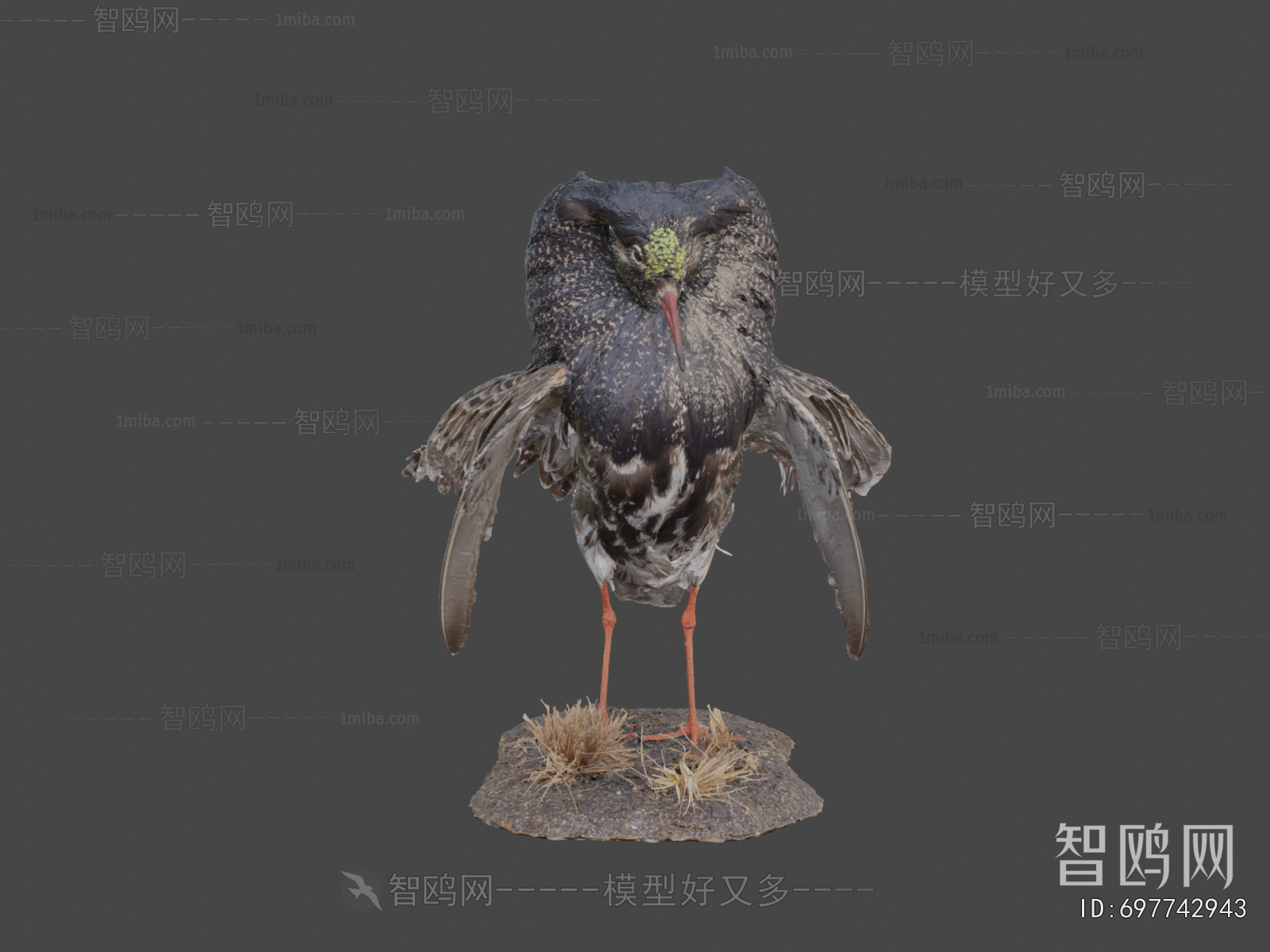 Modern Flying Animals