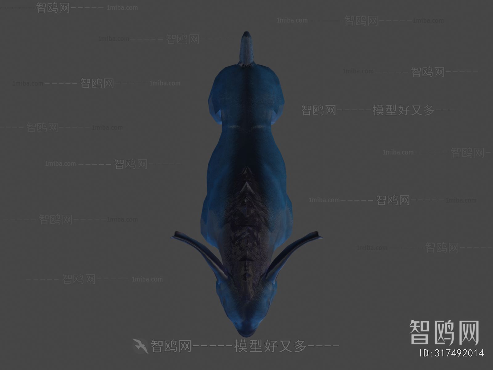 Modern Animal