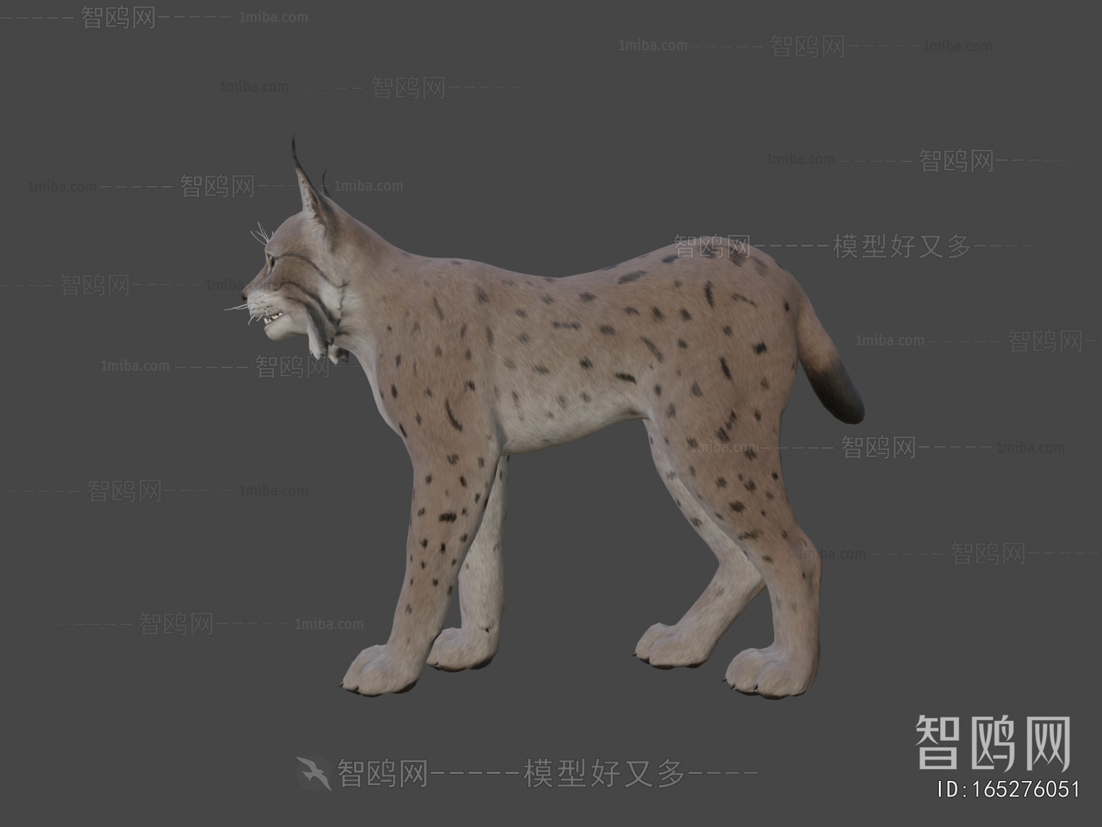 Modern Animal Cat