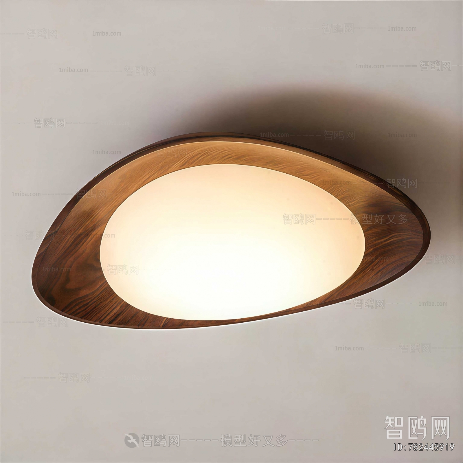 Modern Ceiling Ceiling Lamp