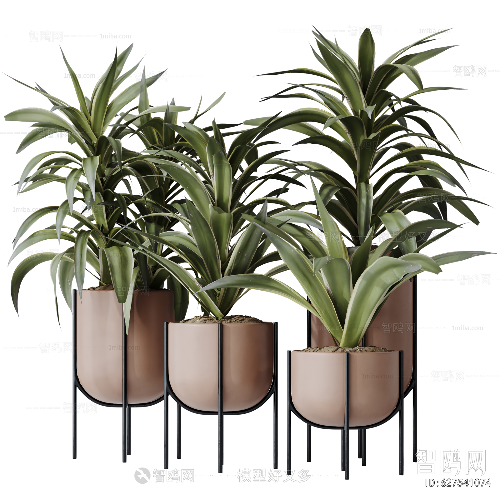 Modern Ground Green Plant Potted Plants
