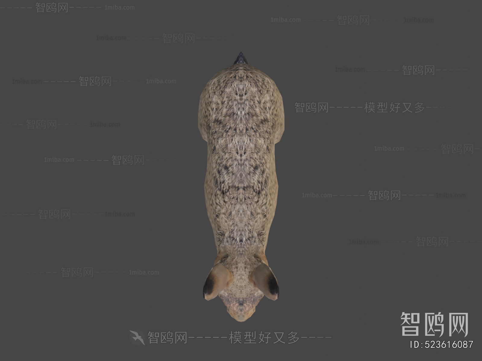 Modern Mammal