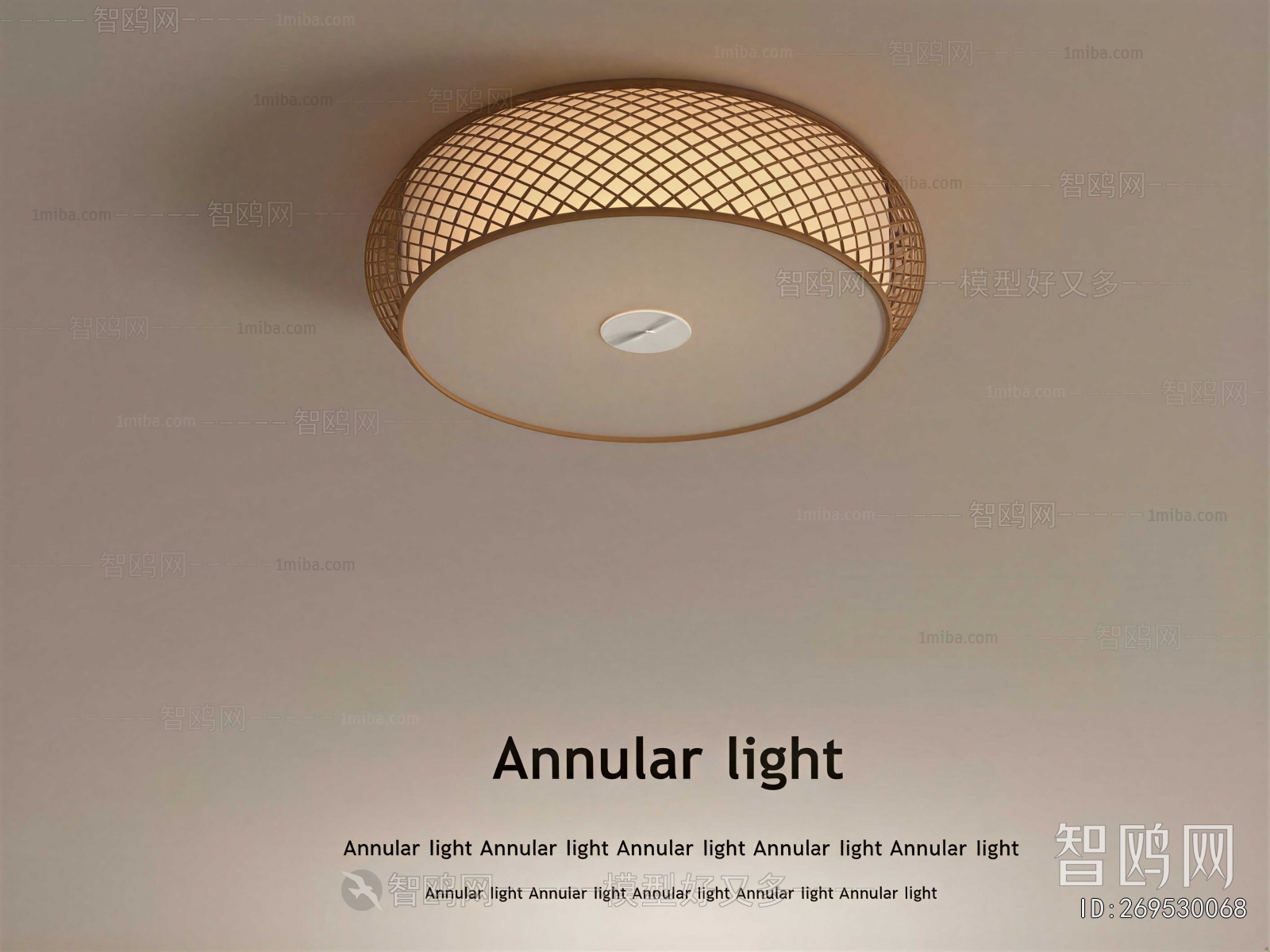 Modern Ceiling Ceiling Lamp