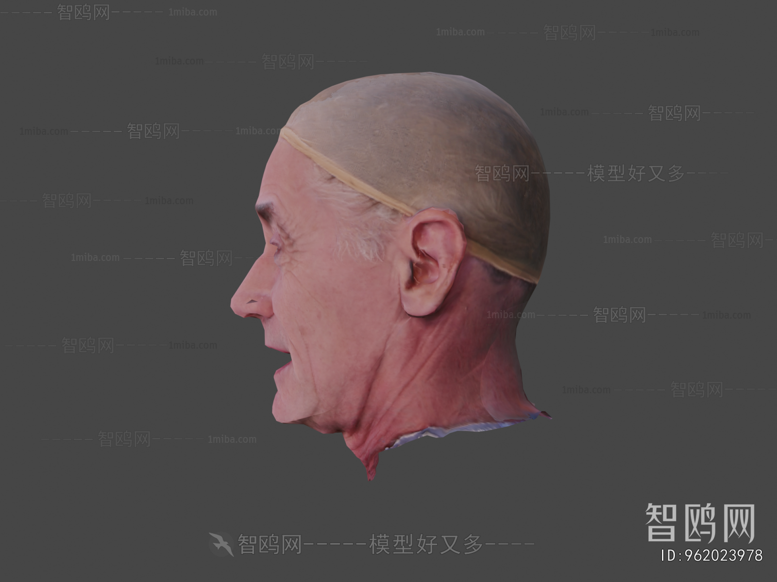 Modern Human