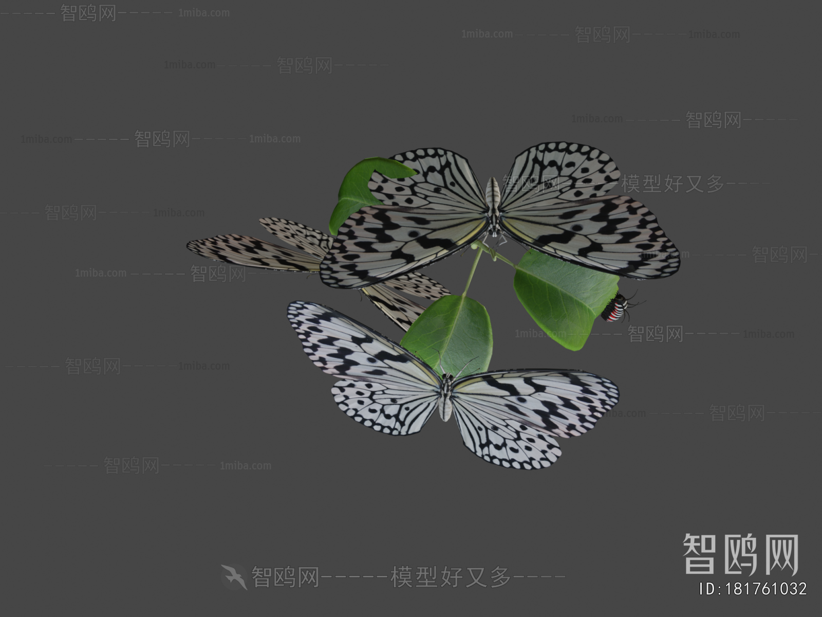 Modern Flying Animals