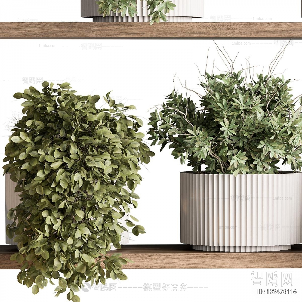 Modern Potted Green Plant