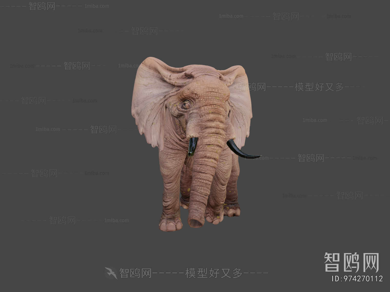 Modern Mammal