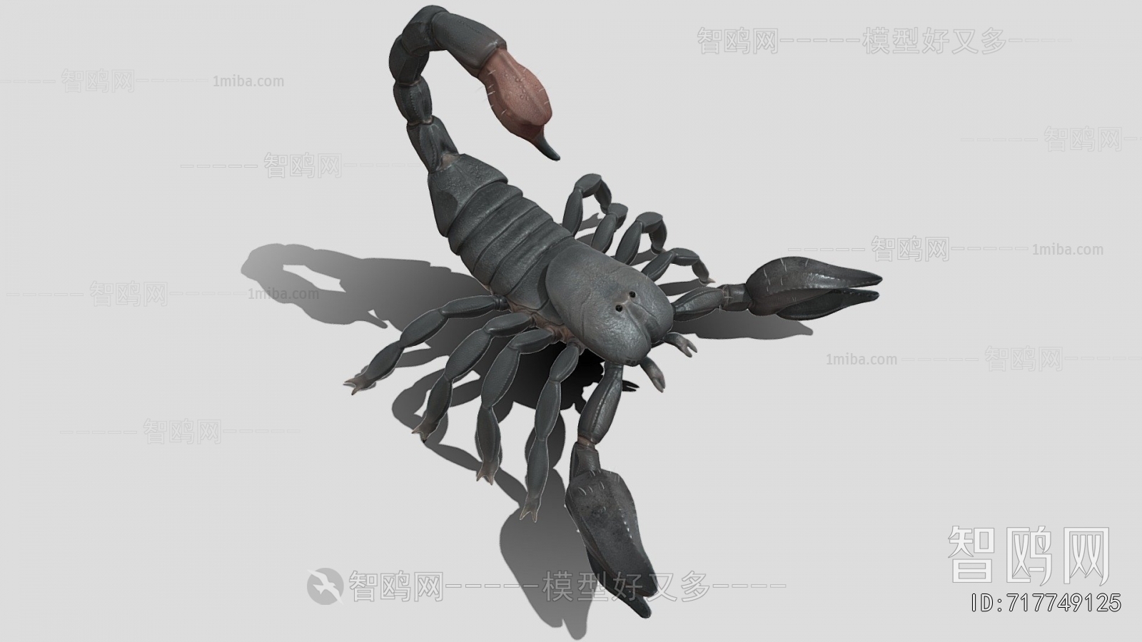 Modern Animal