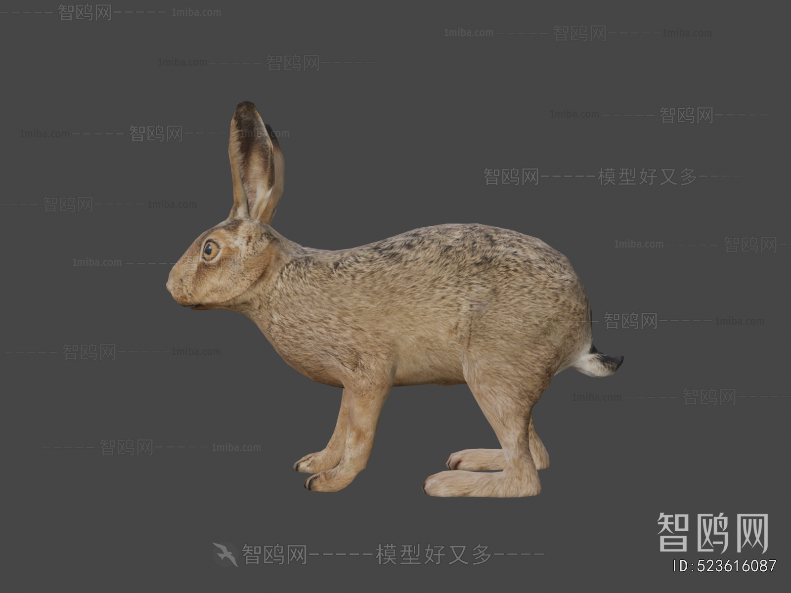 Modern Mammal