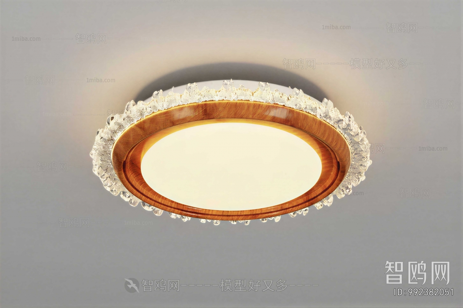Modern Ceiling Ceiling Lamp