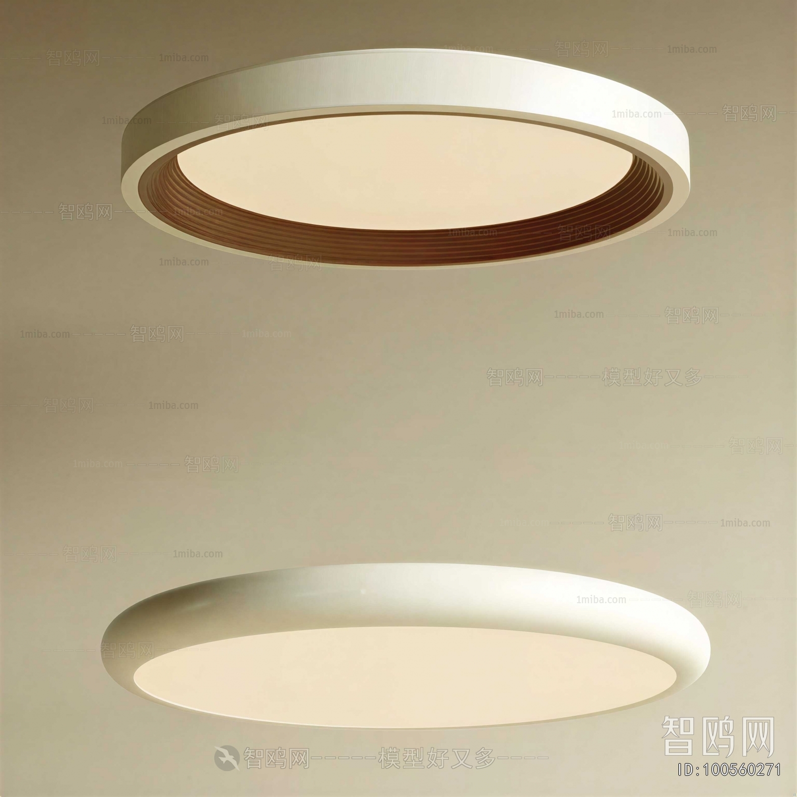 Modern Ceiling Ceiling Lamp