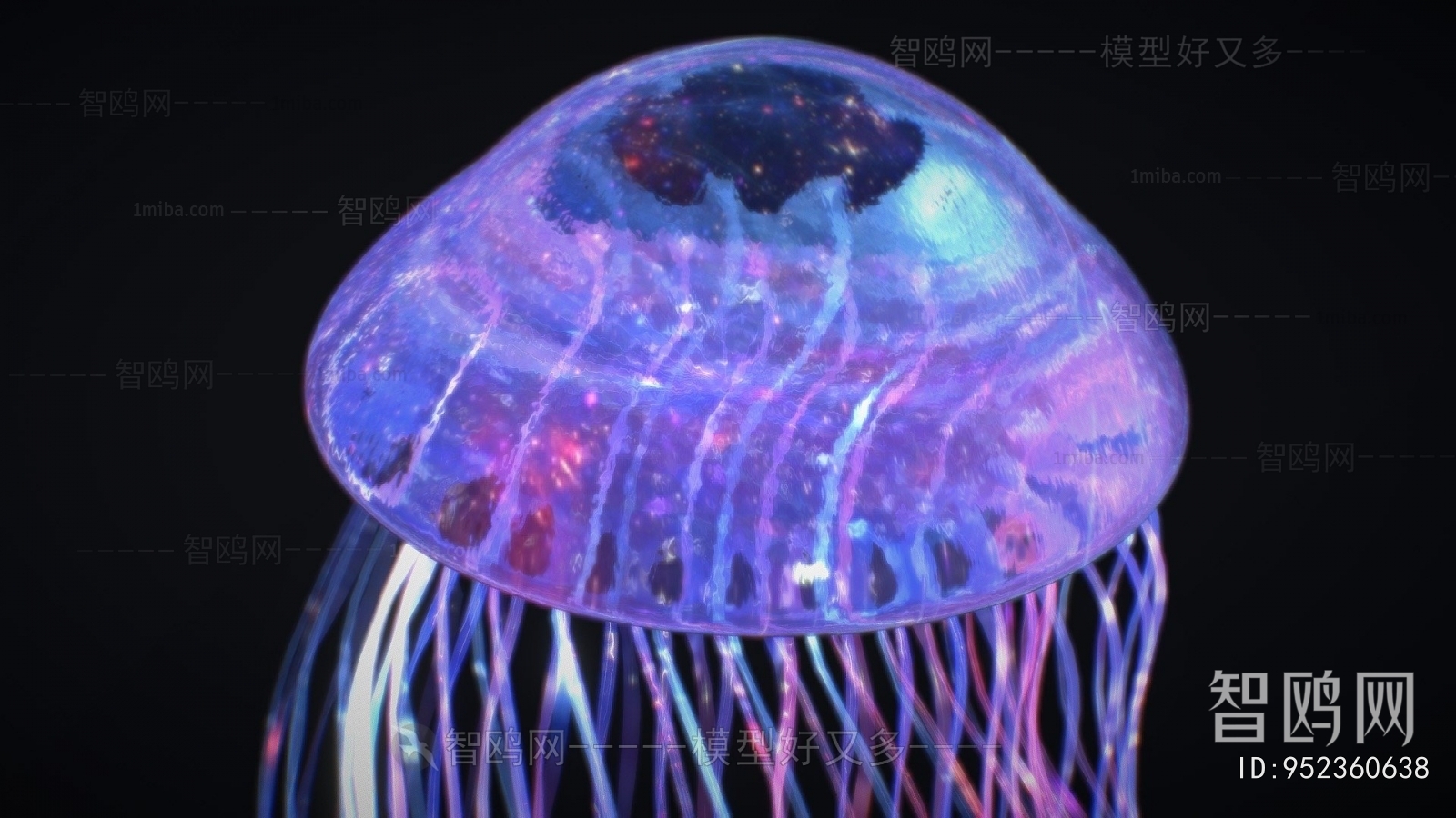 Modern Aquatic Animals