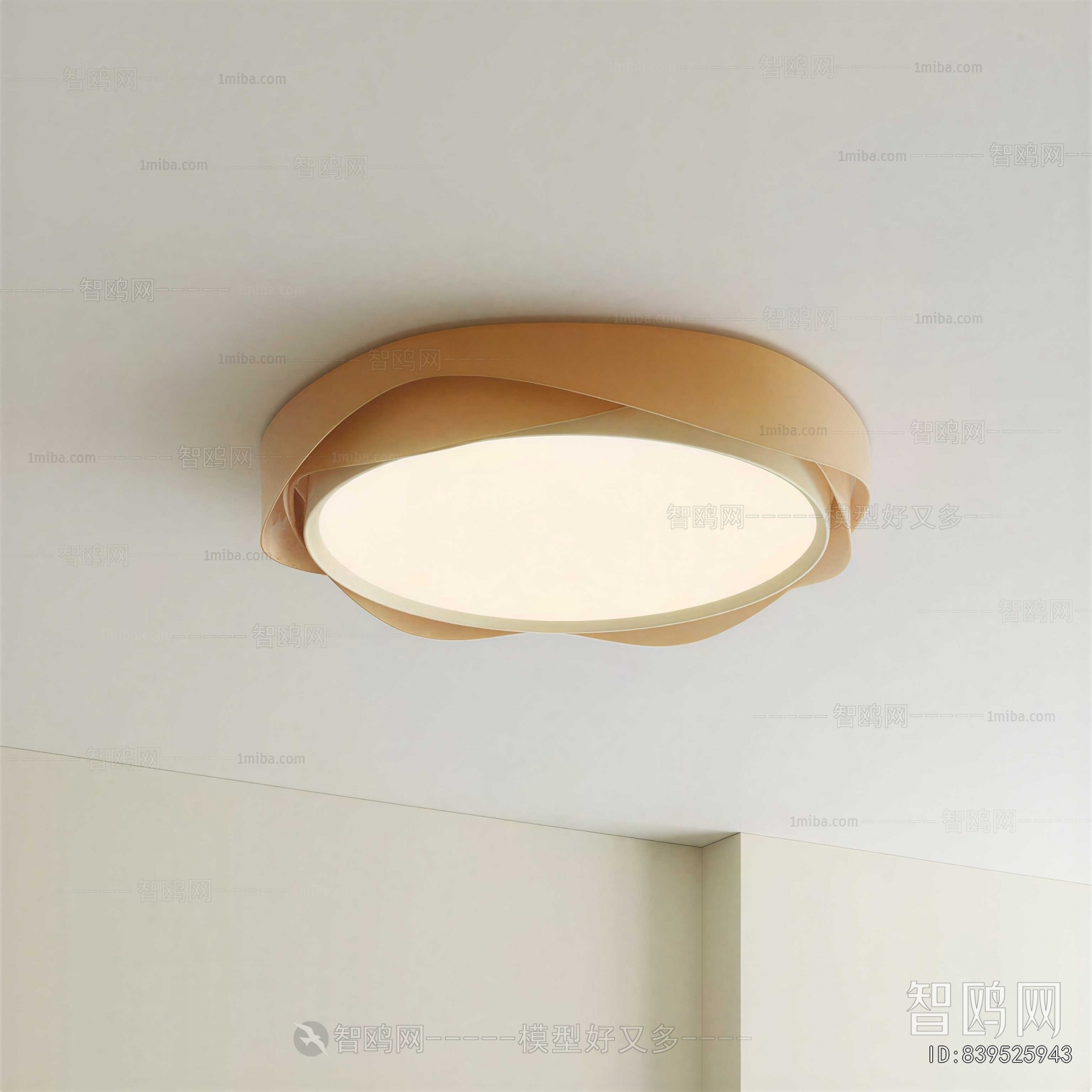 Modern Ceiling Ceiling Lamp