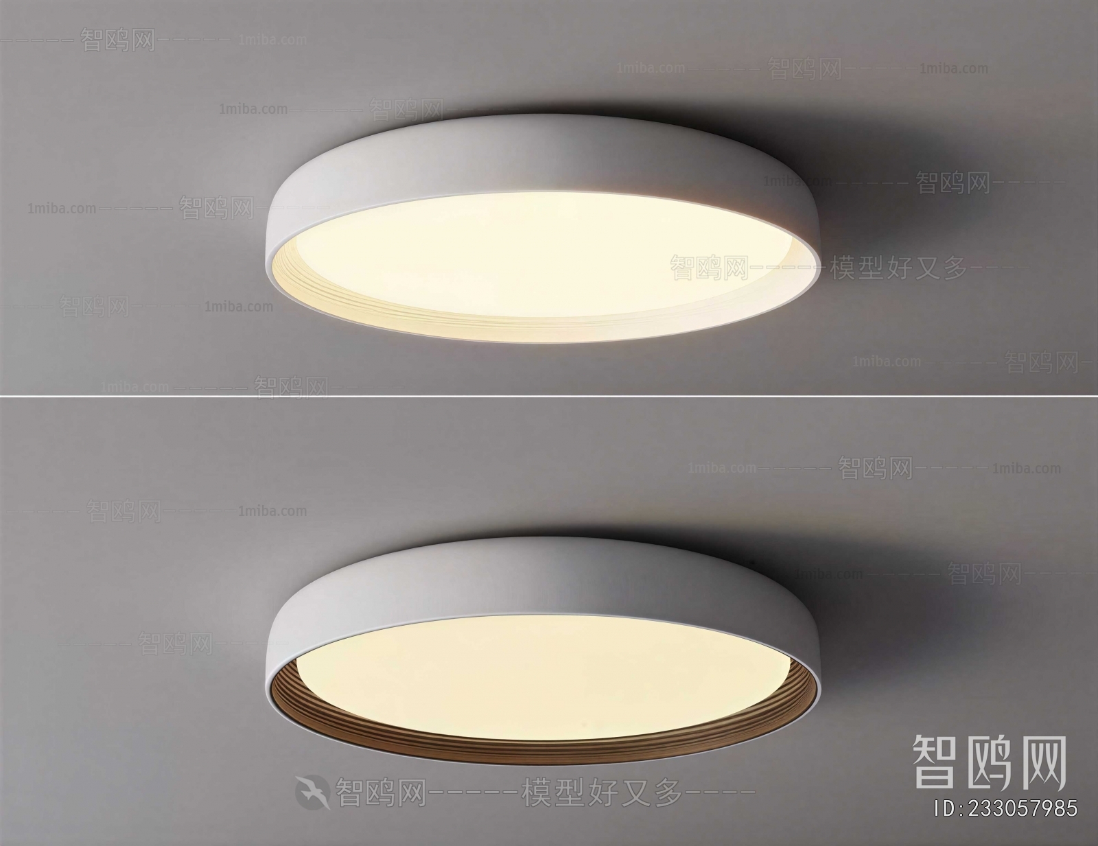 Modern Ceiling Ceiling Lamp