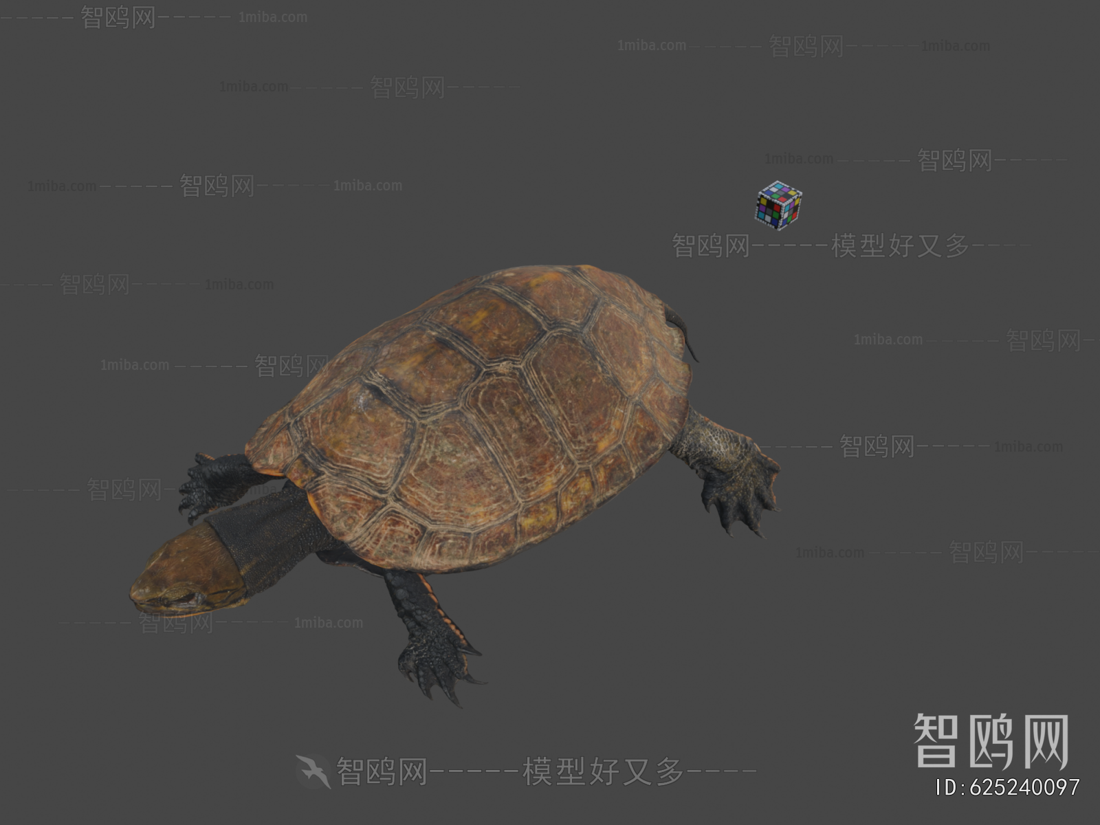 Modern Reptile