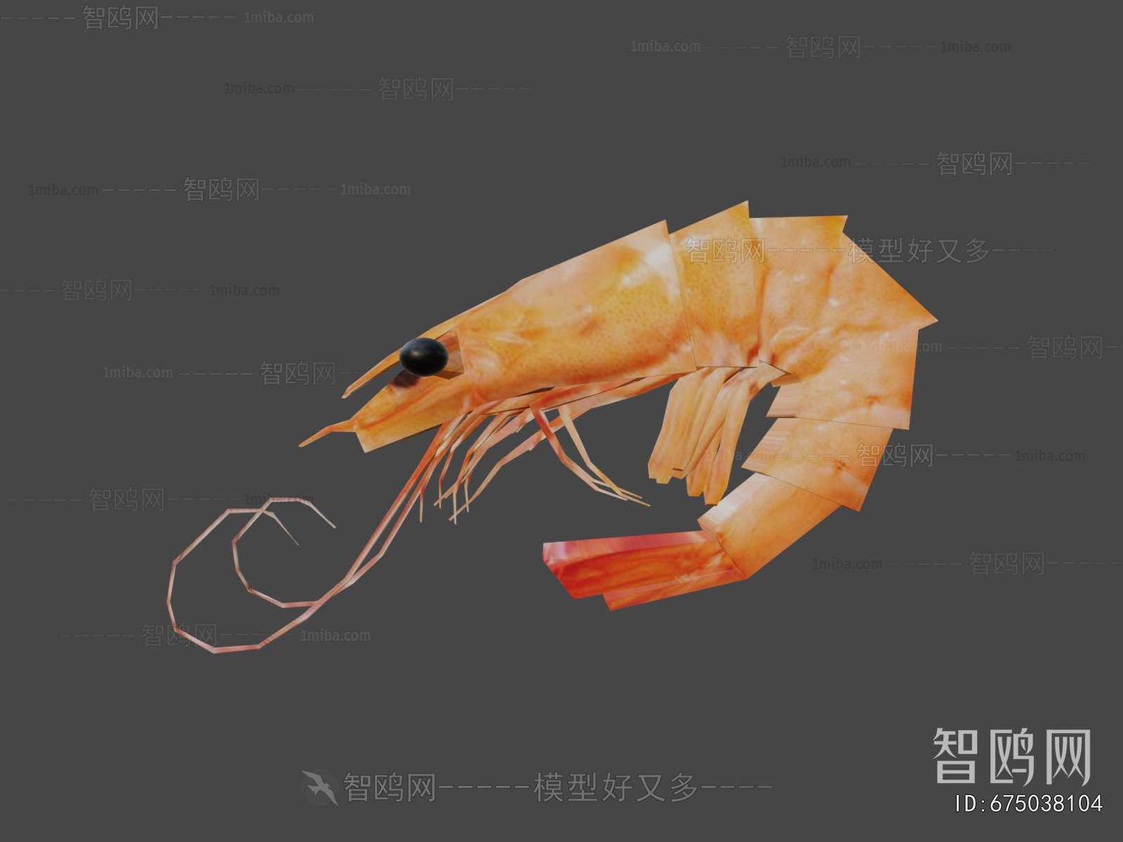 Modern Animal