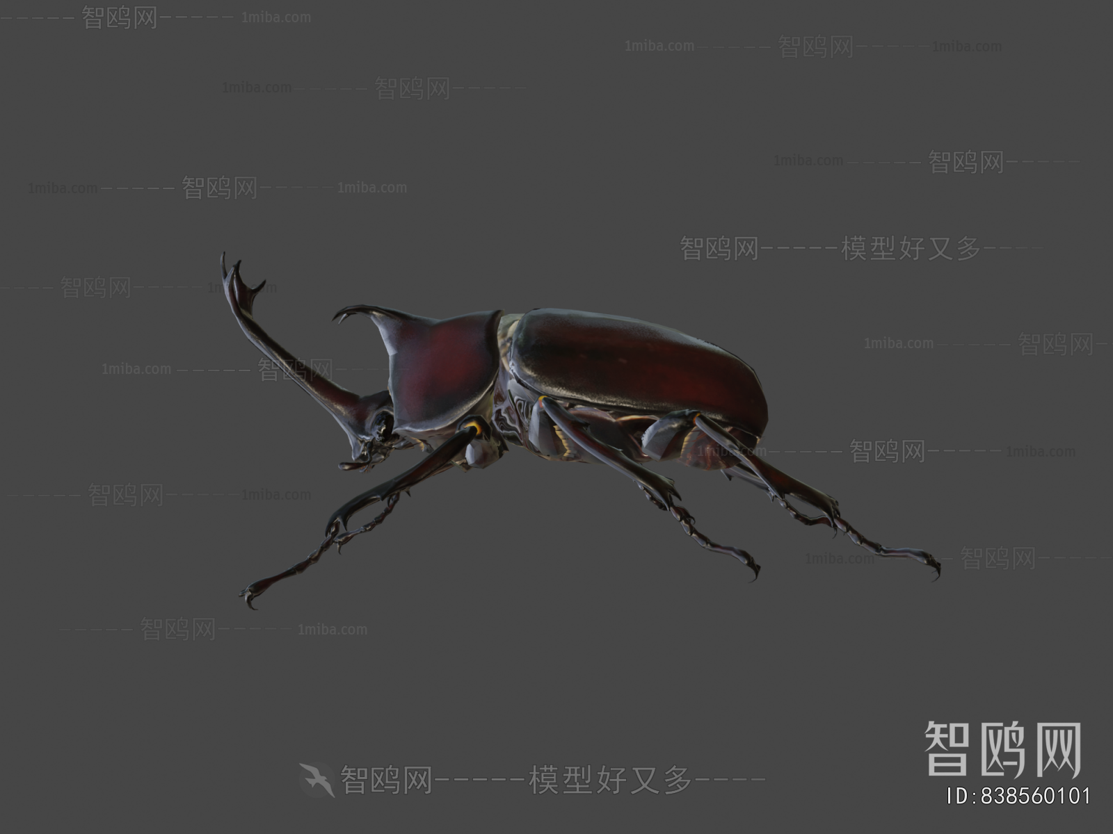 Modern Animal