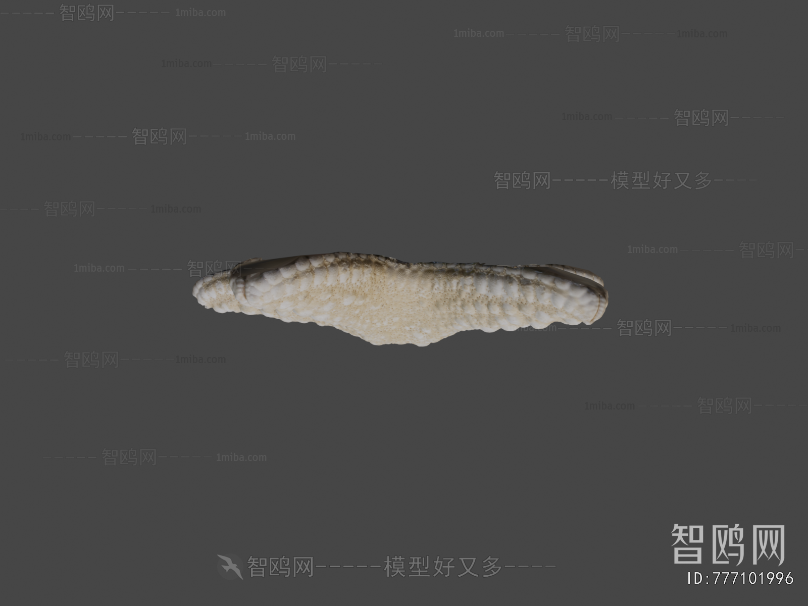 Modern Aquatic Animals