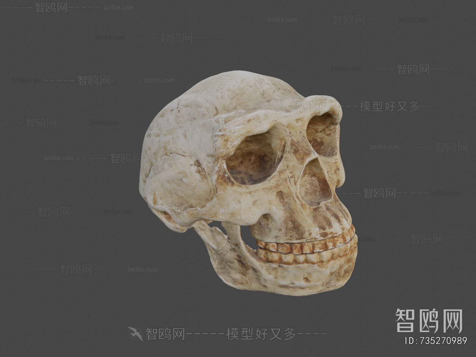 Modern Medical Equipment