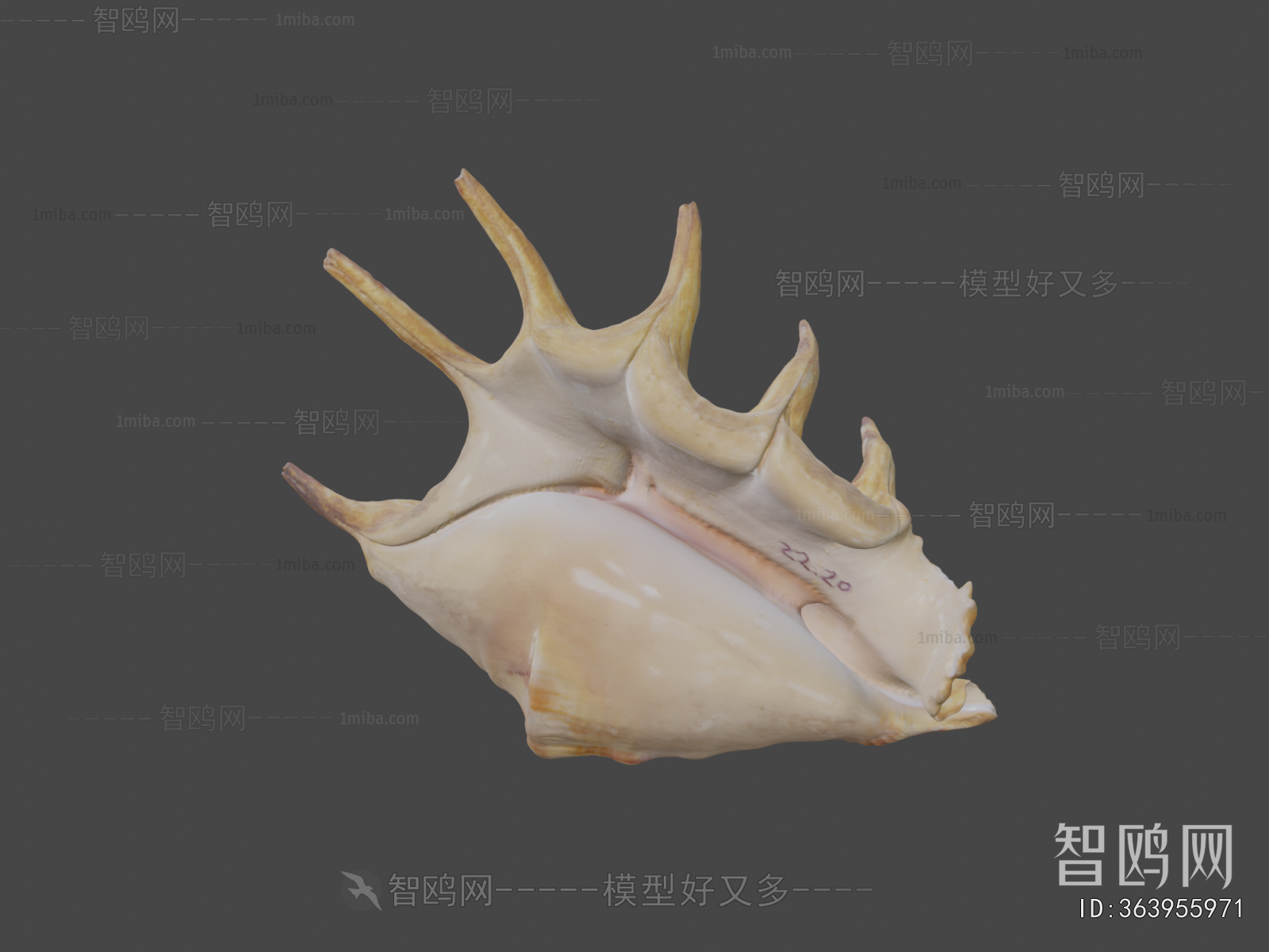 Modern Aquatic Animals