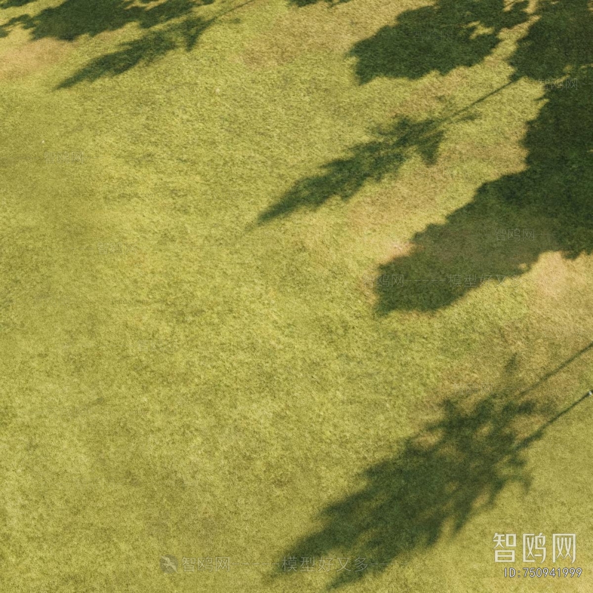 Modern The Grass