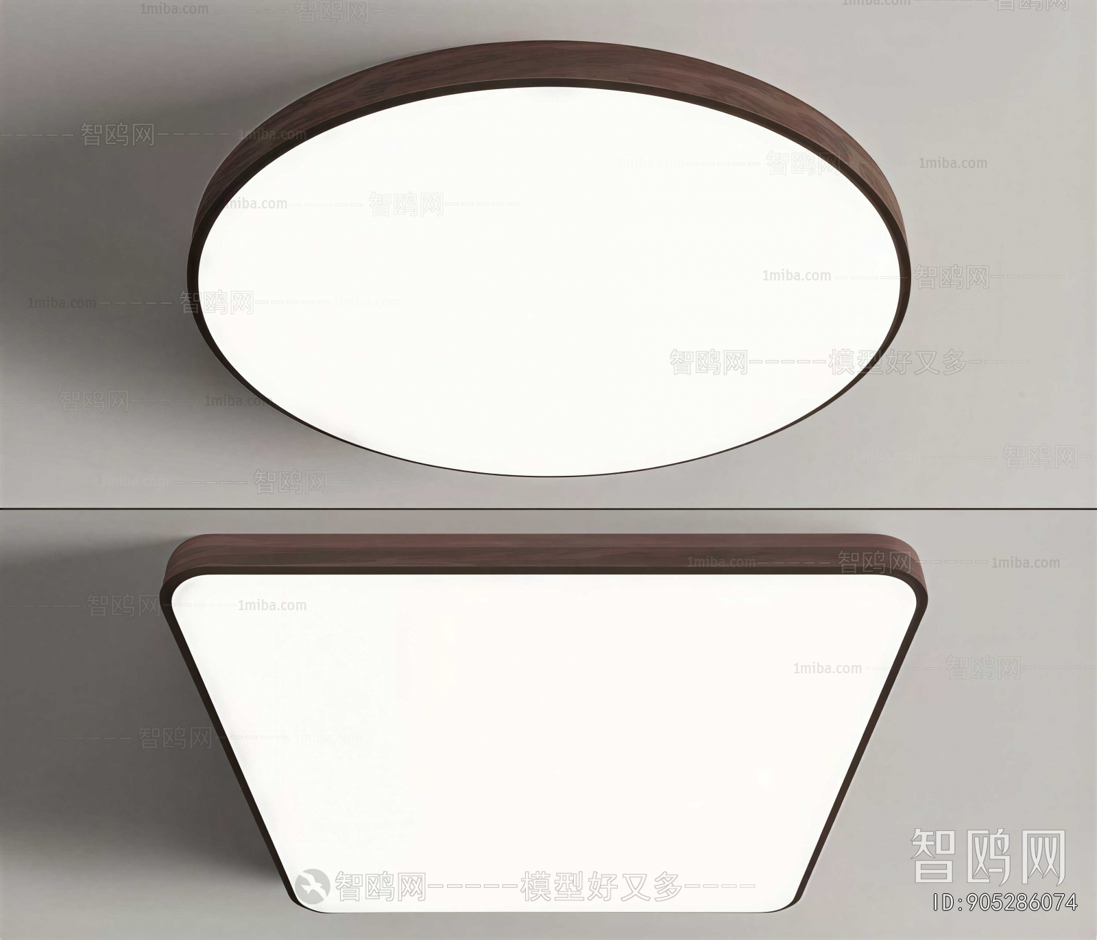 Modern Ceiling Ceiling Lamp