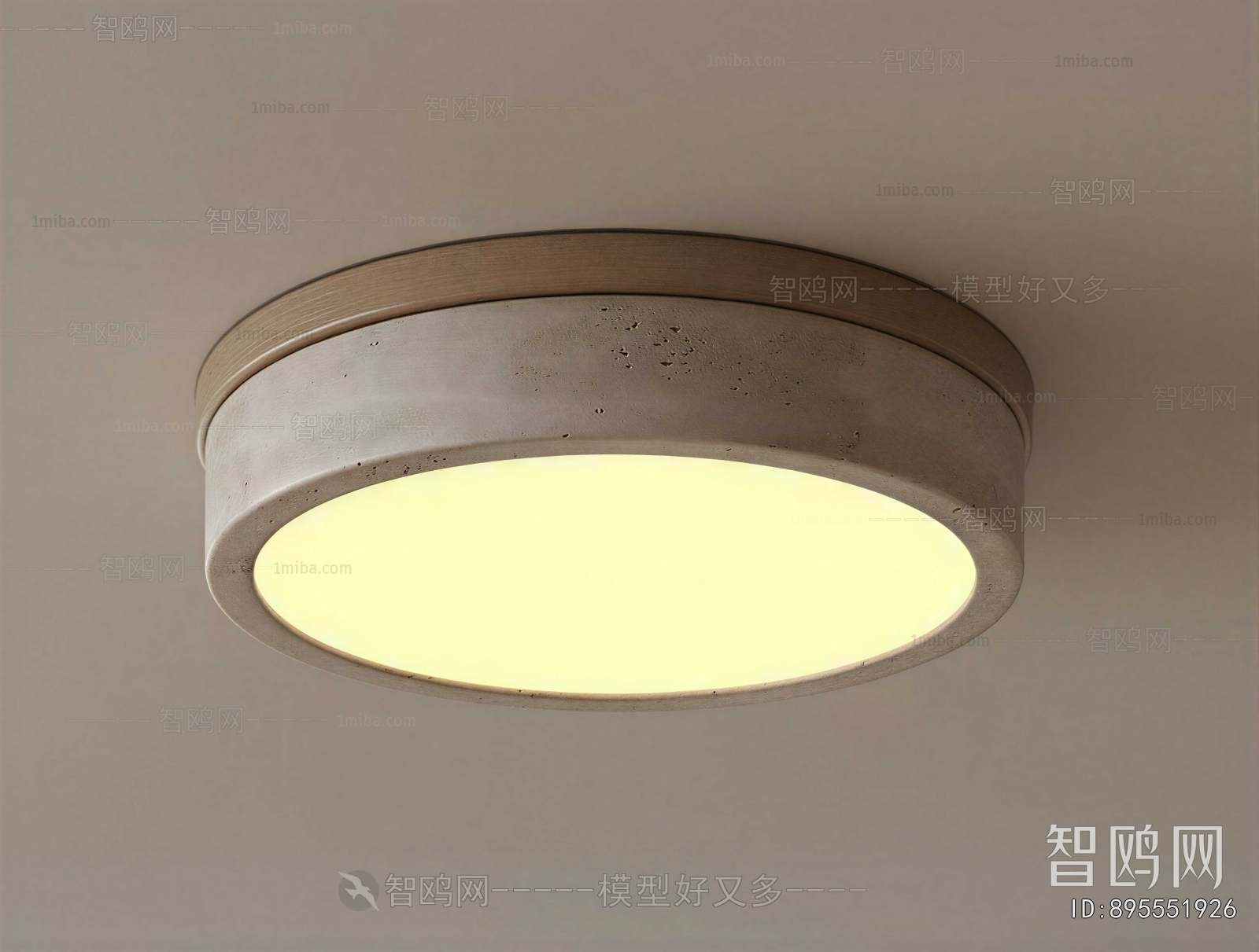Modern Ceiling Ceiling Lamp