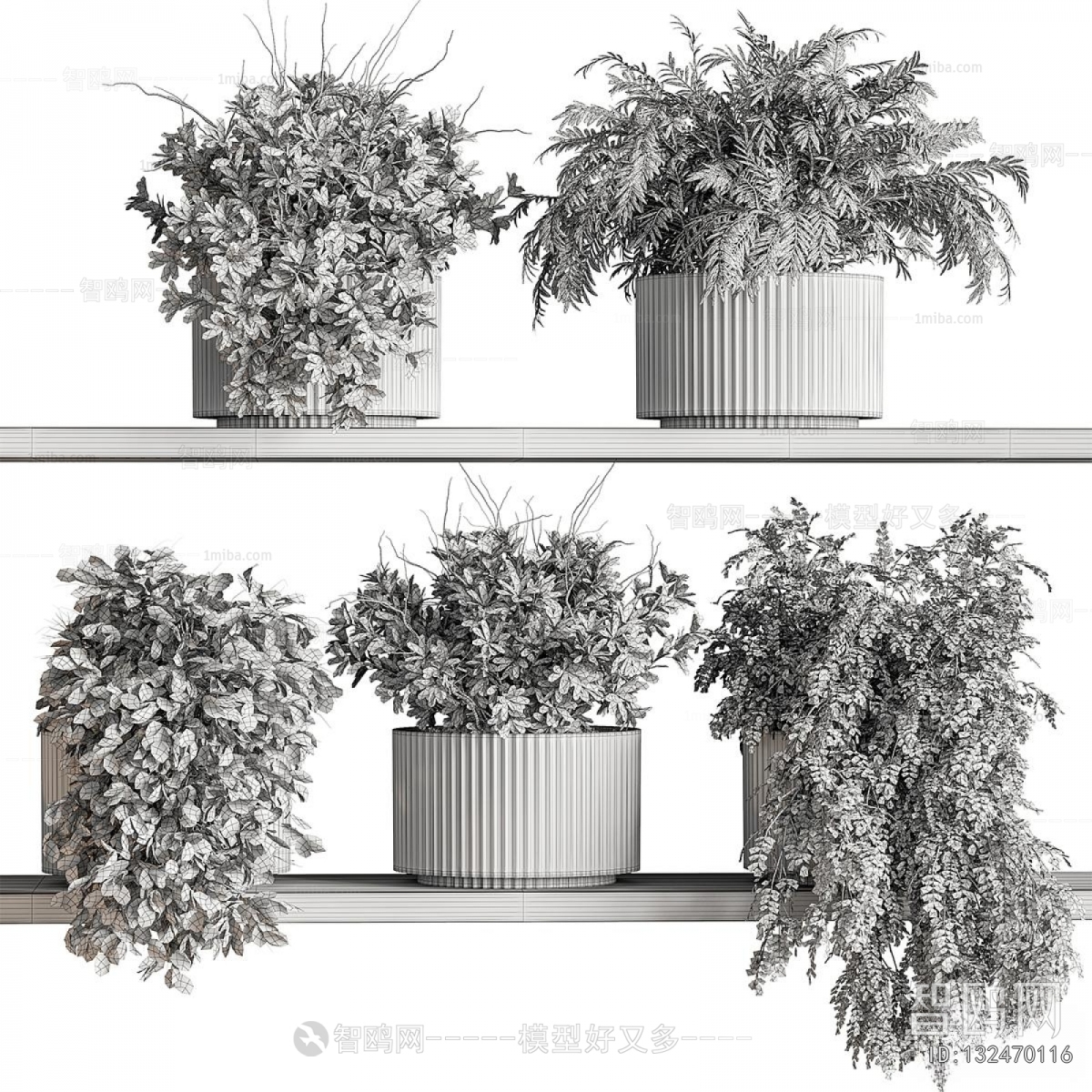 Modern Potted Green Plant