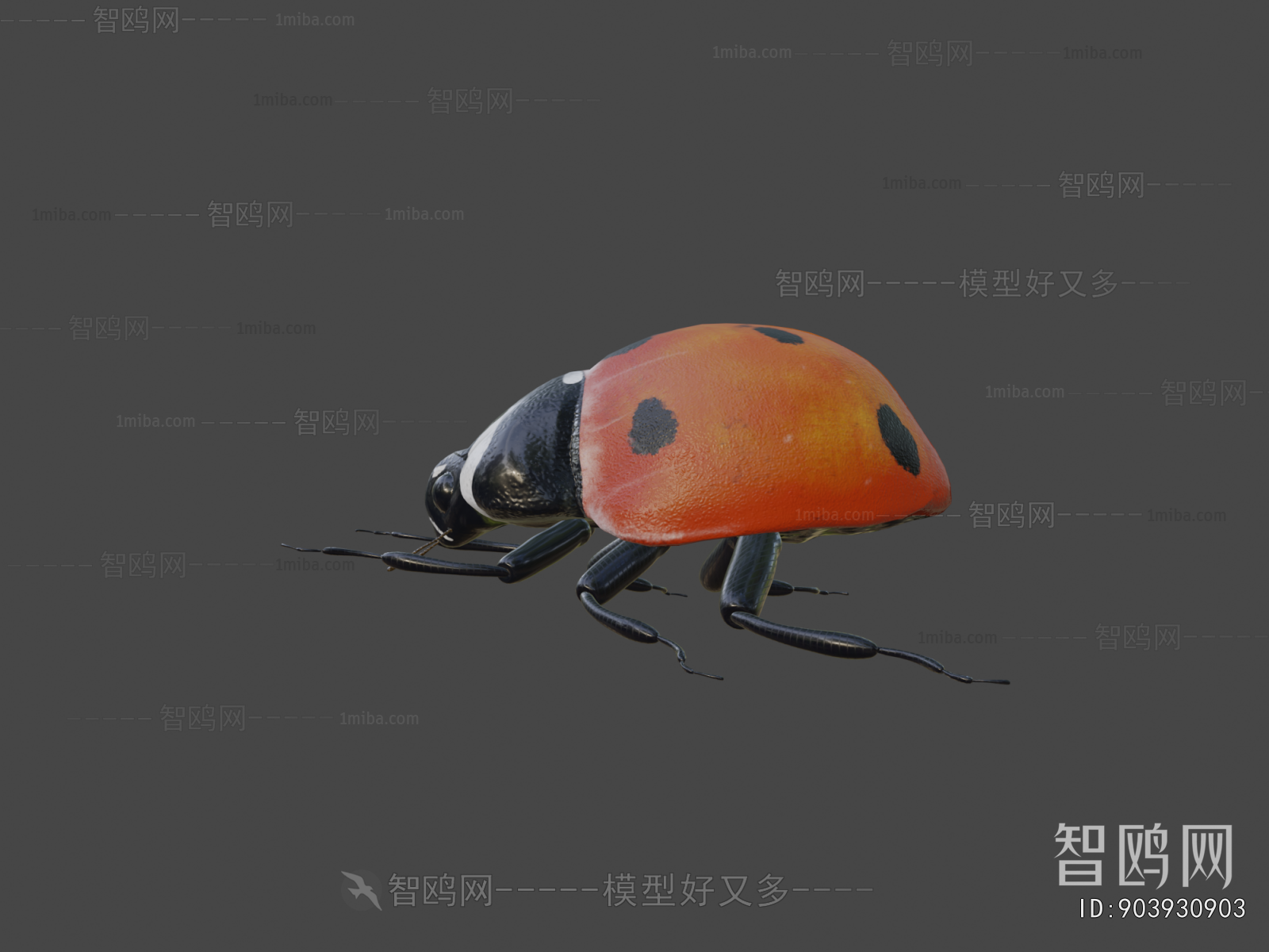 Modern Animal