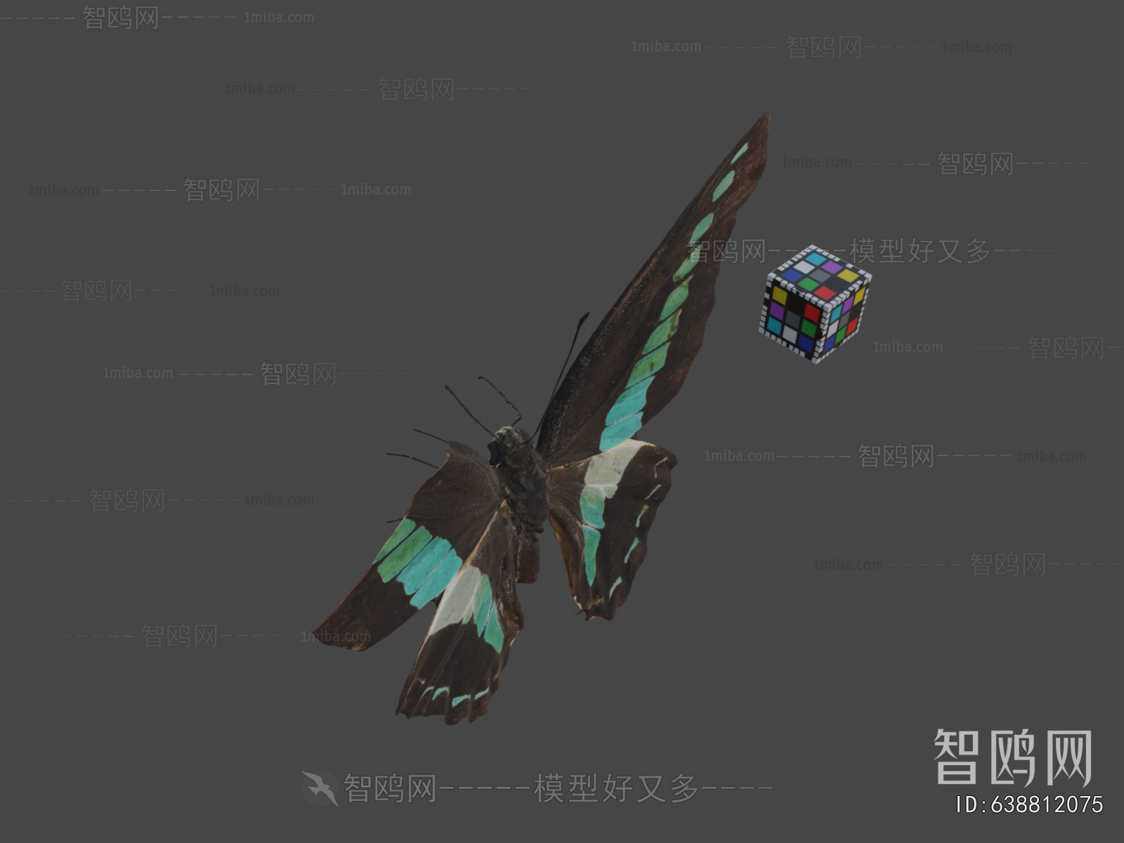 Modern Animal