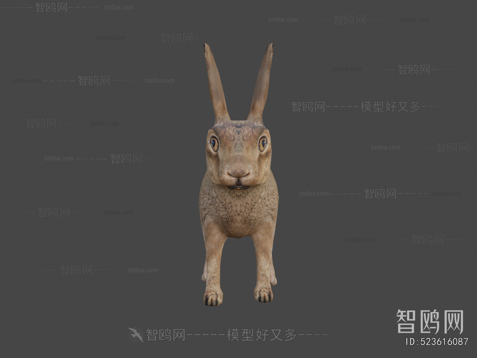 Modern Mammal