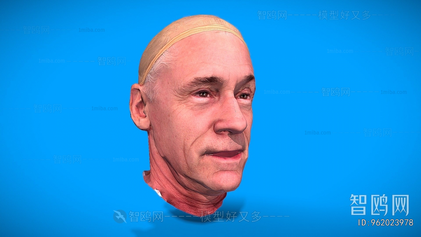 Modern Human