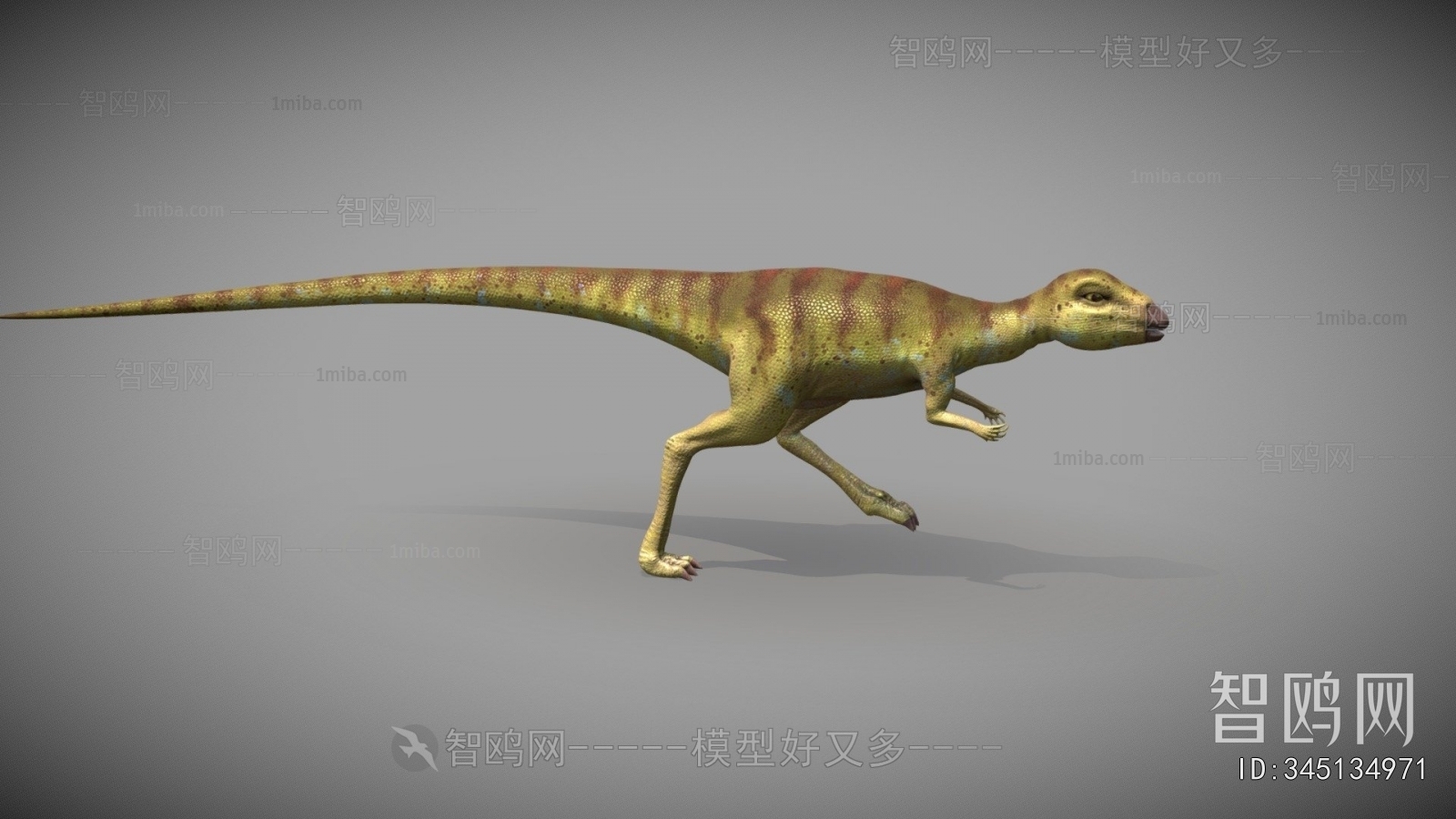 Modern Animal