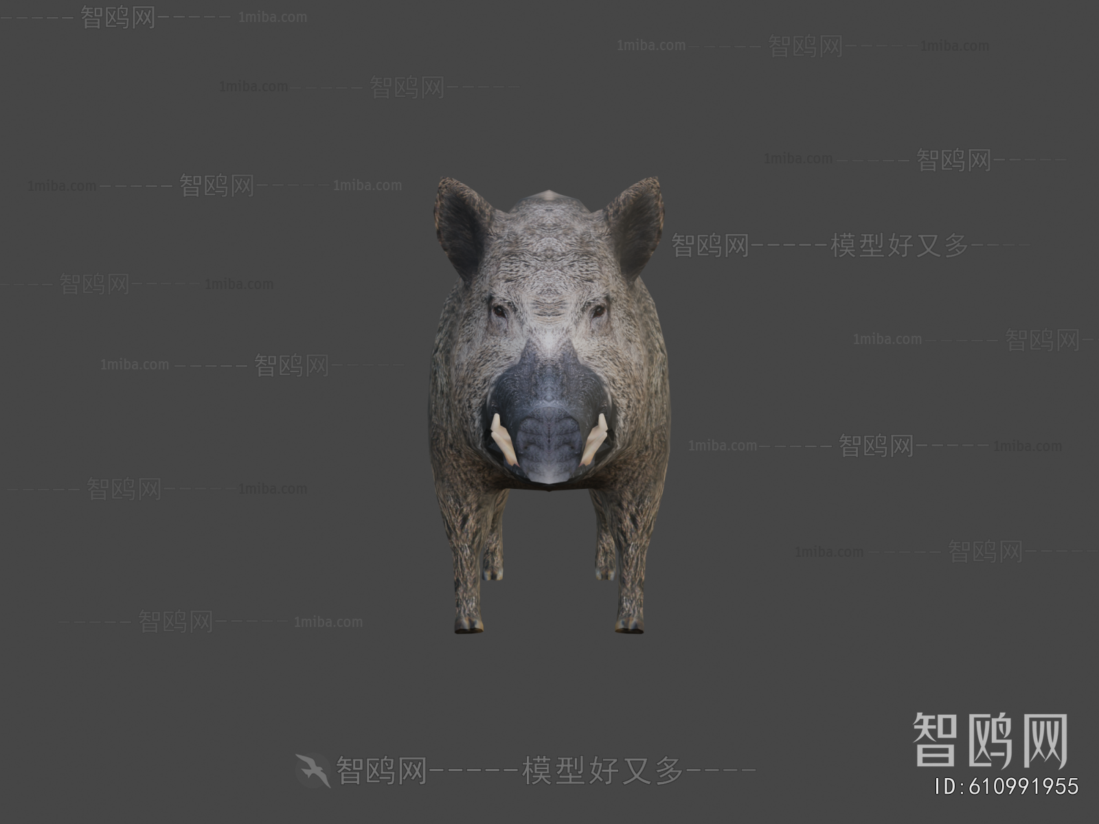 Modern Animal