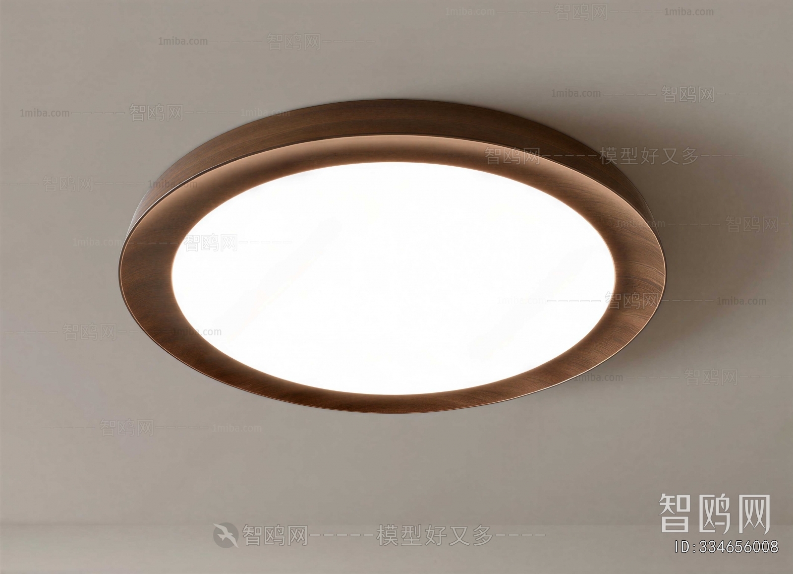 Modern Ceiling Ceiling Lamp