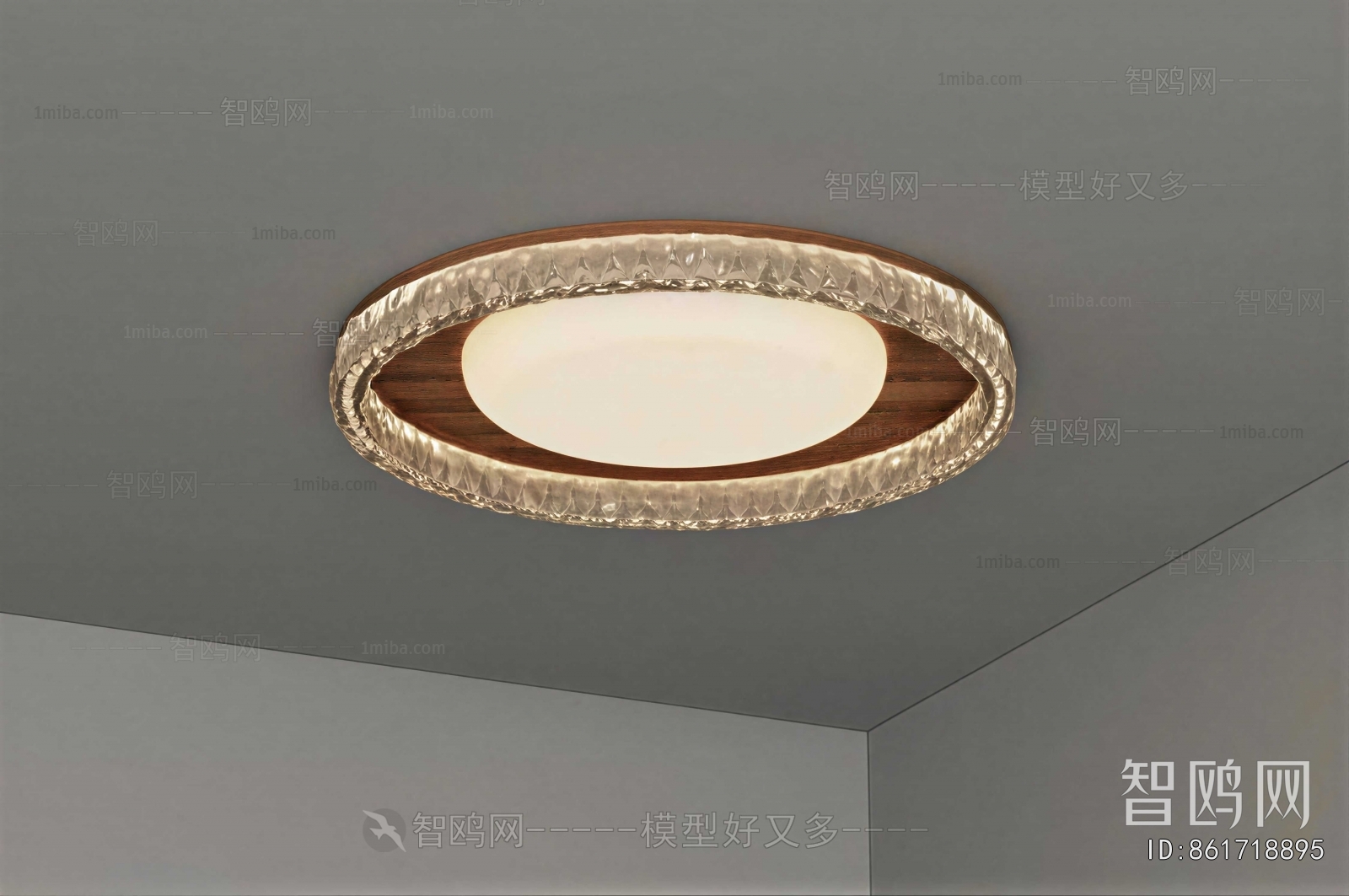 Modern Ceiling Ceiling Lamp
