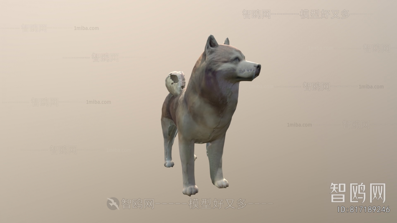 Modern Mammal