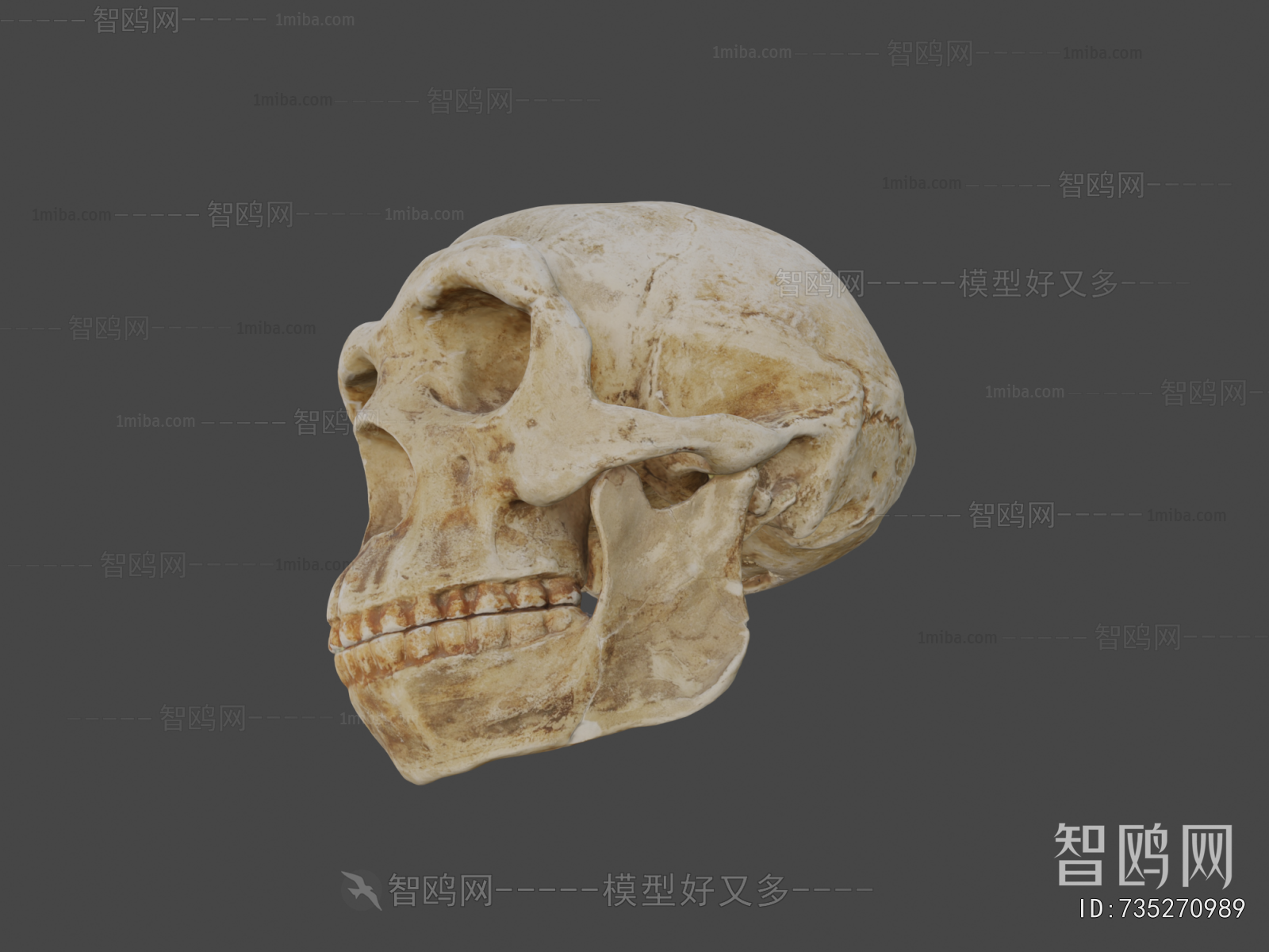 Modern Medical Equipment