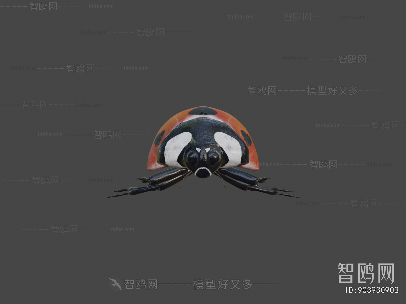 Modern Animal