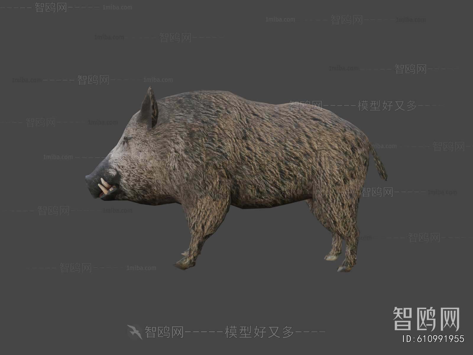 Modern Animal