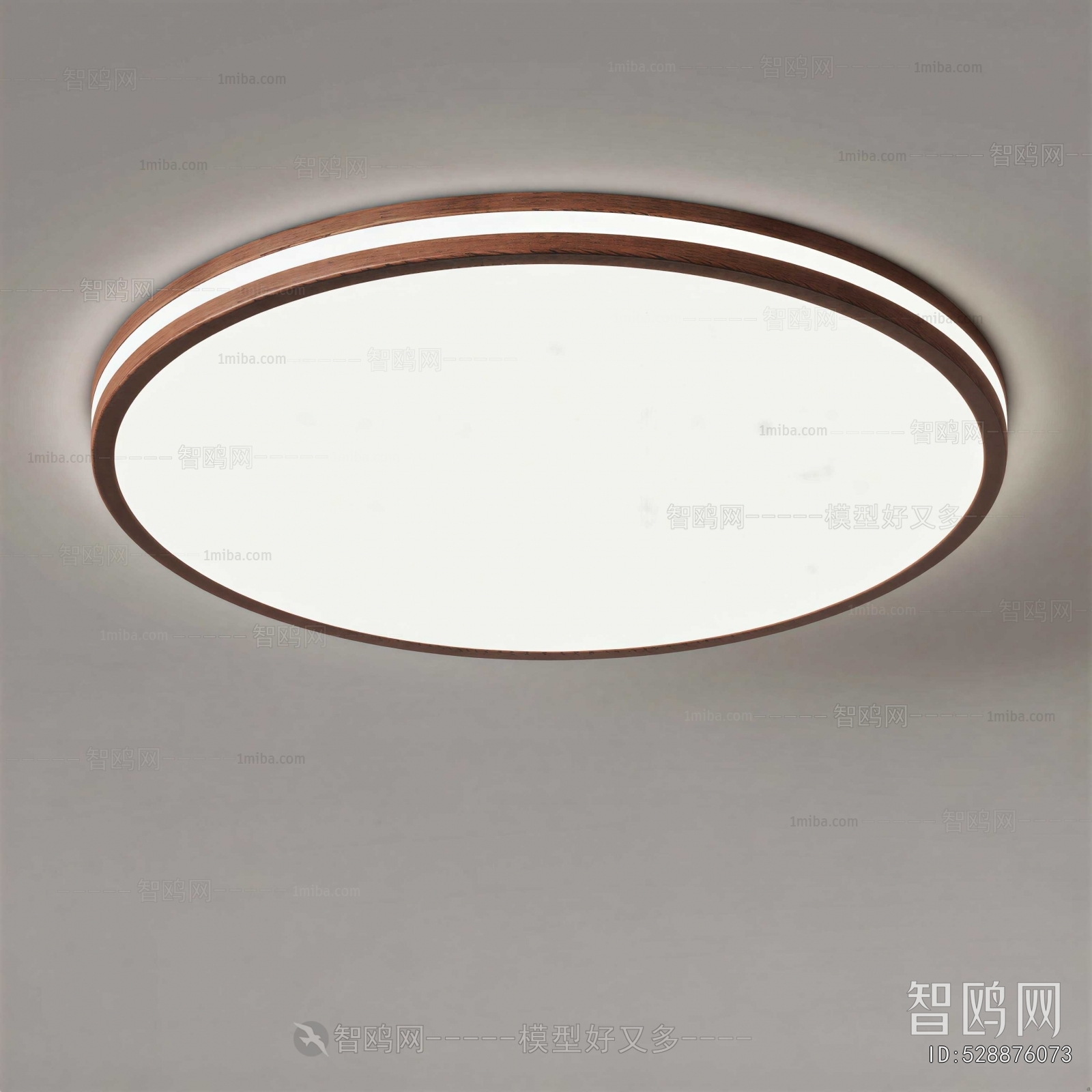 Modern Ceiling Ceiling Lamp