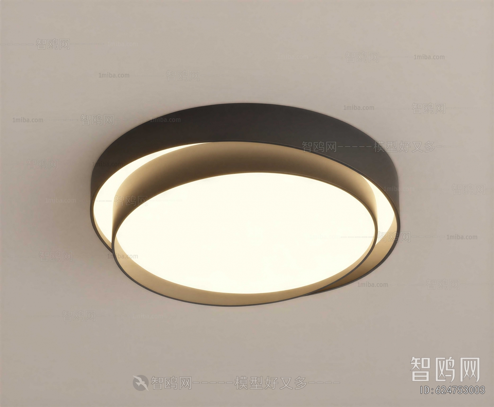 Modern Ceiling Ceiling Lamp