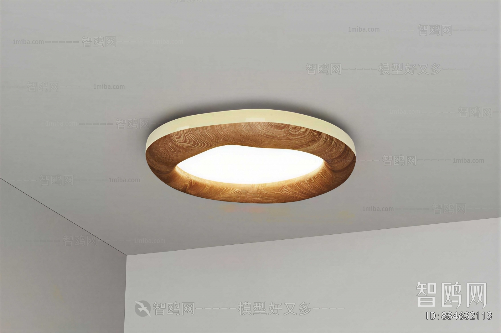 Modern Ceiling Ceiling Lamp