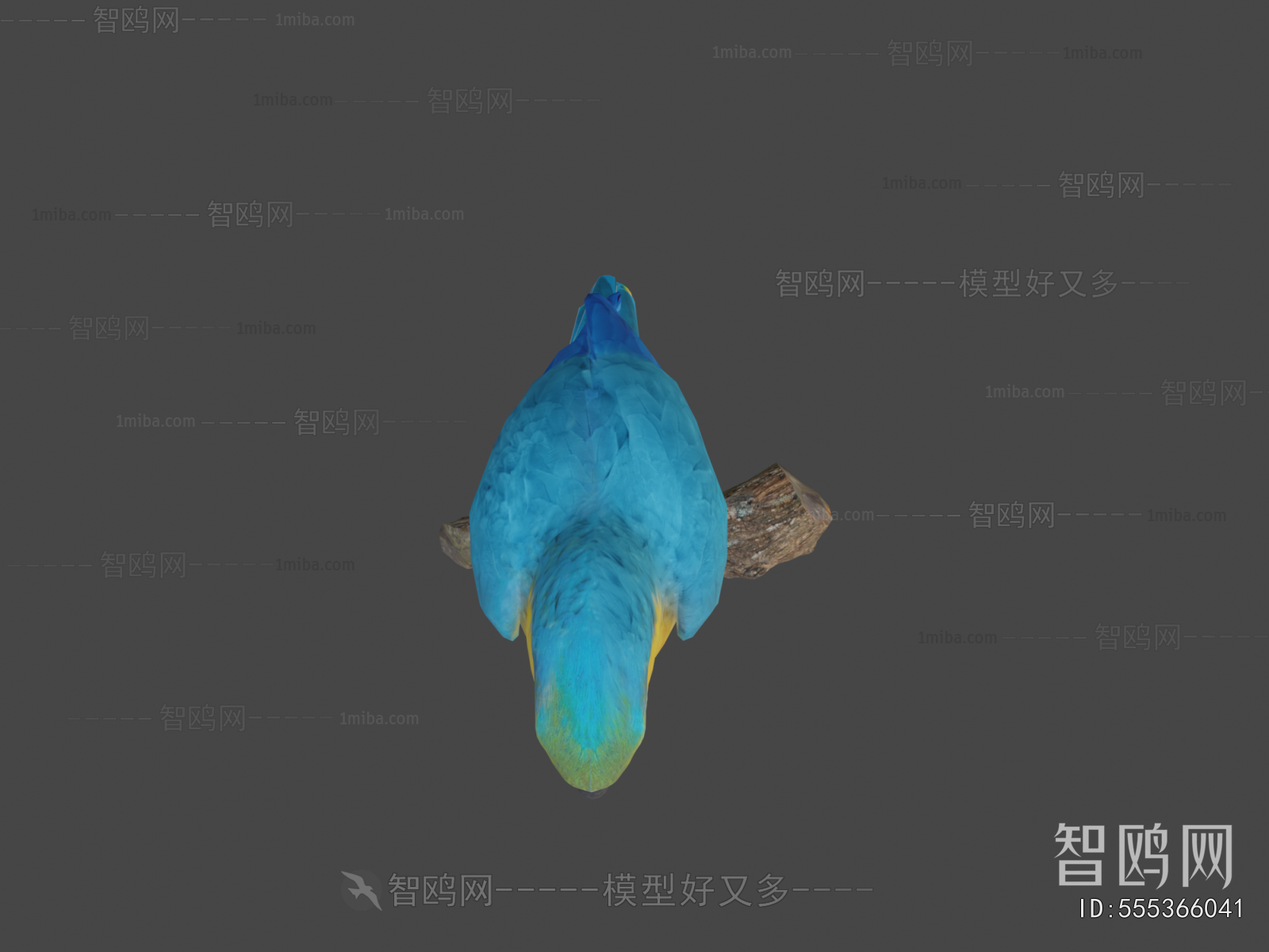 Modern Animal