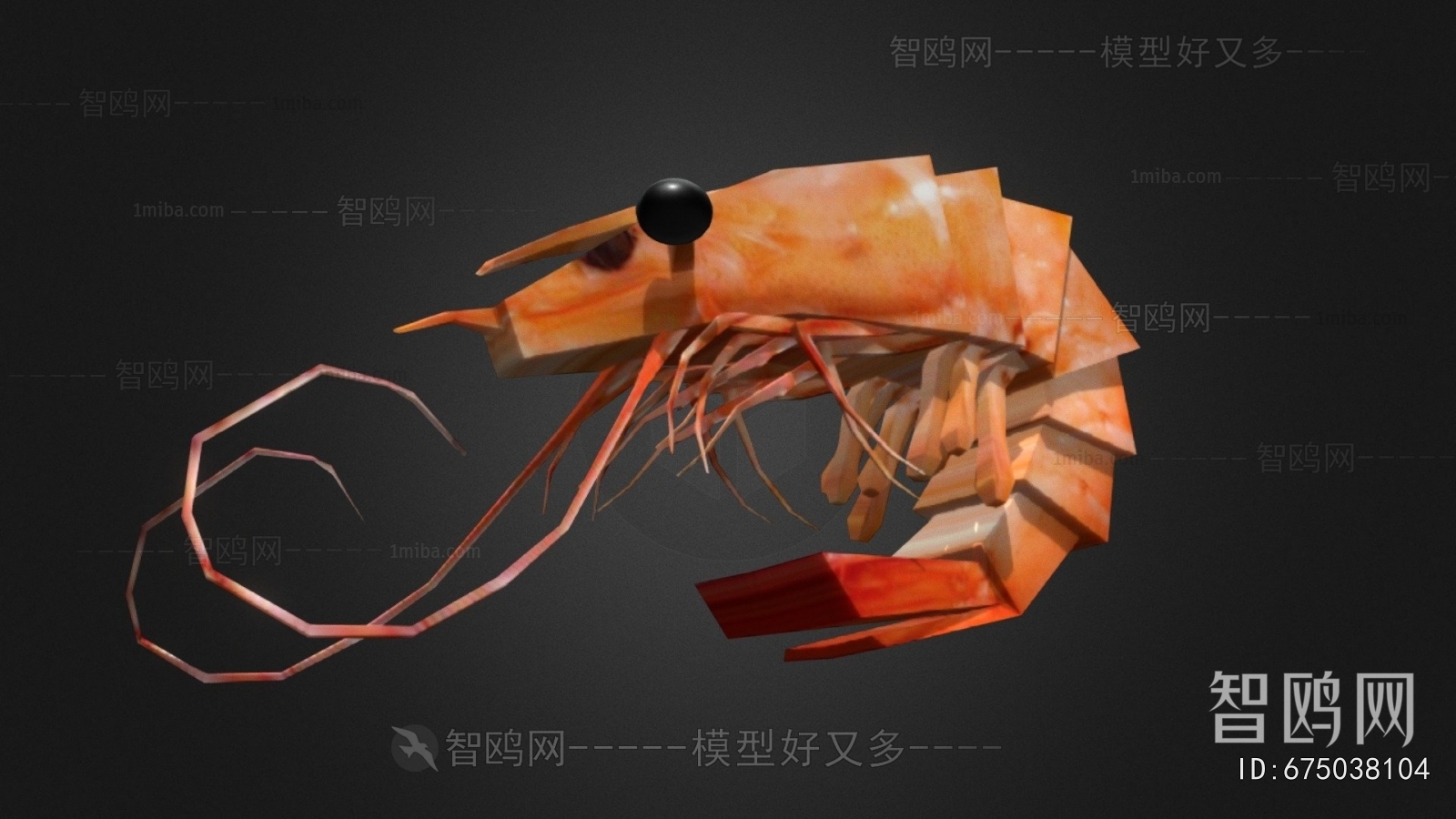 Modern Animal