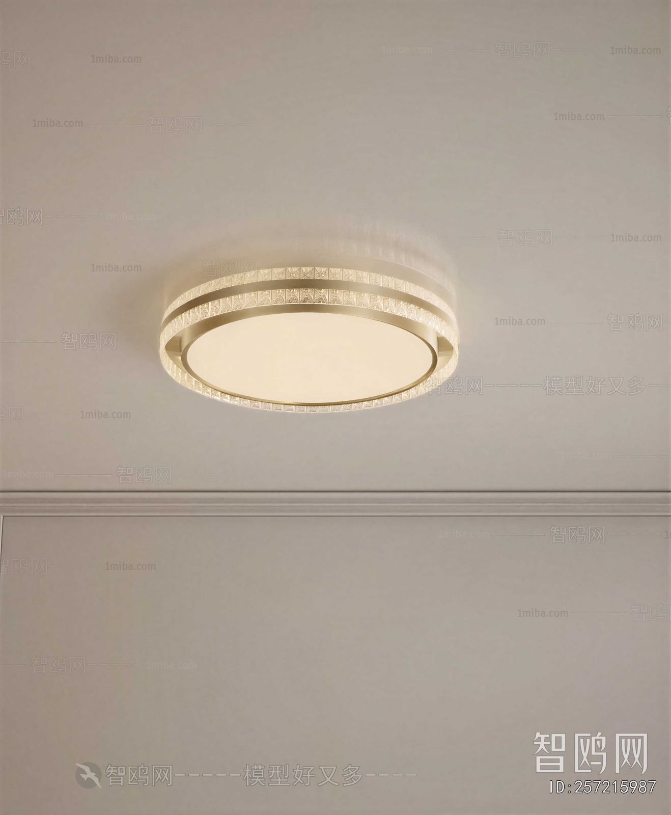 Modern Ceiling Ceiling Lamp