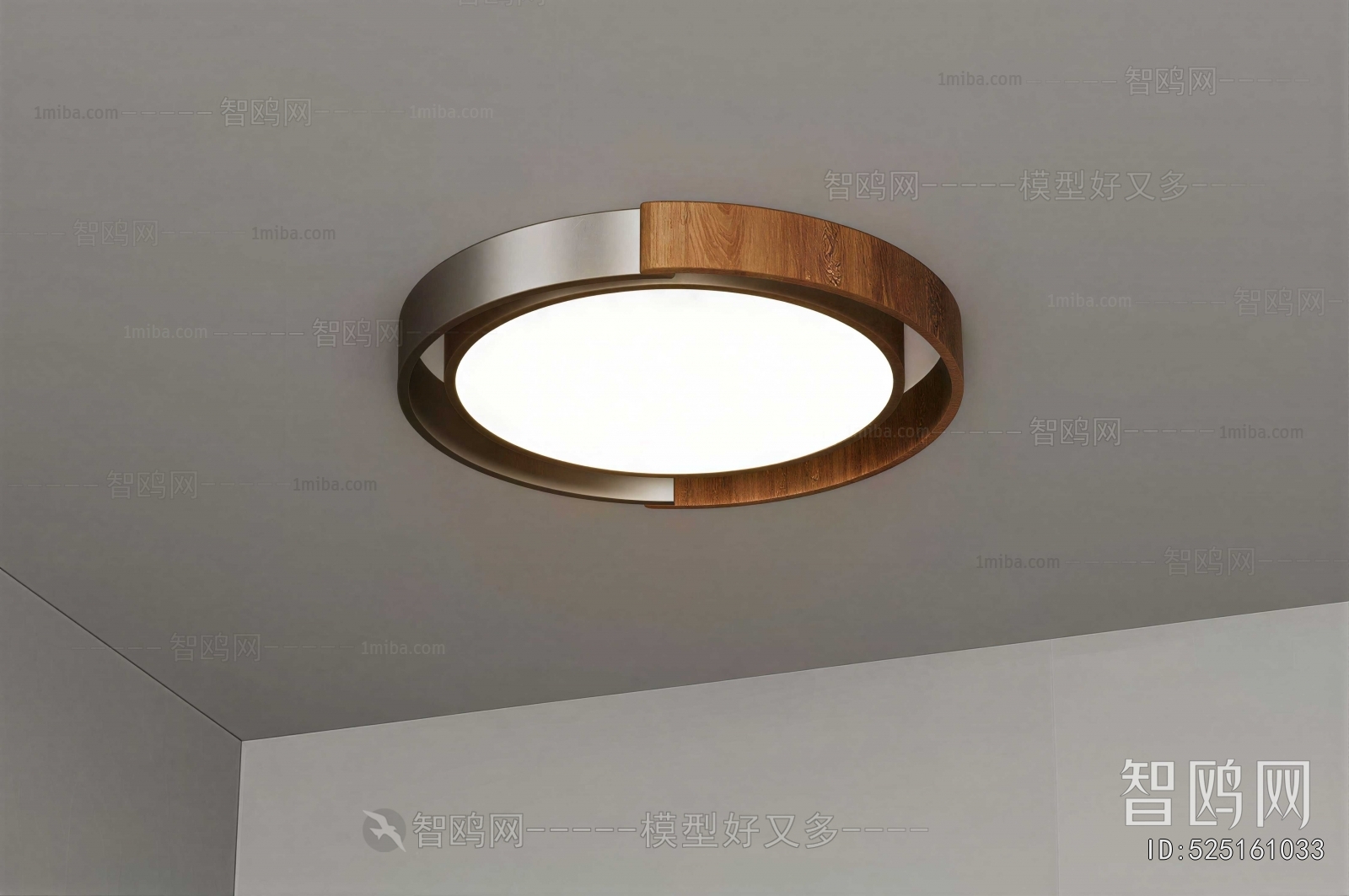Modern Ceiling Ceiling Lamp