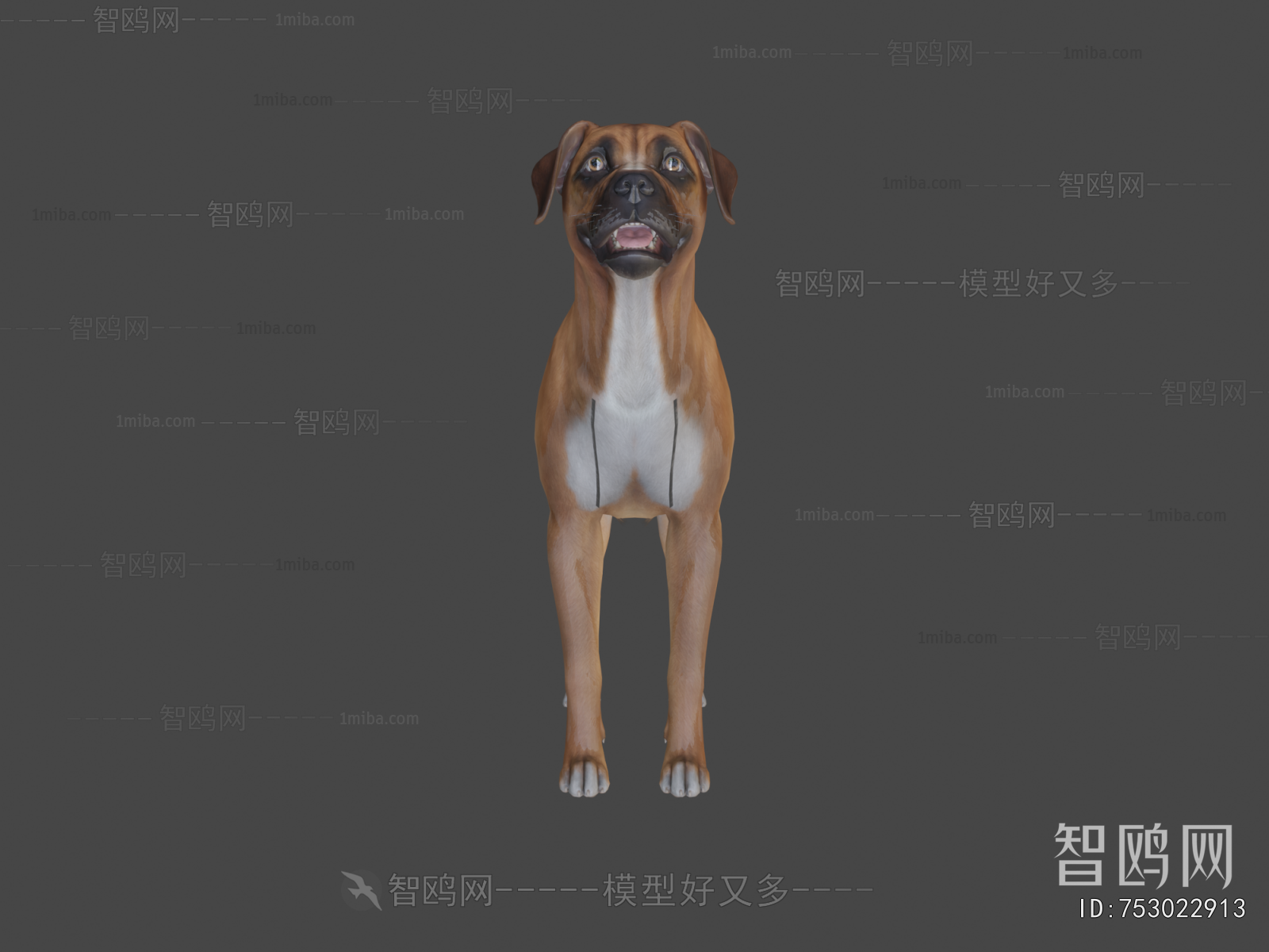 Modern Animal Dog