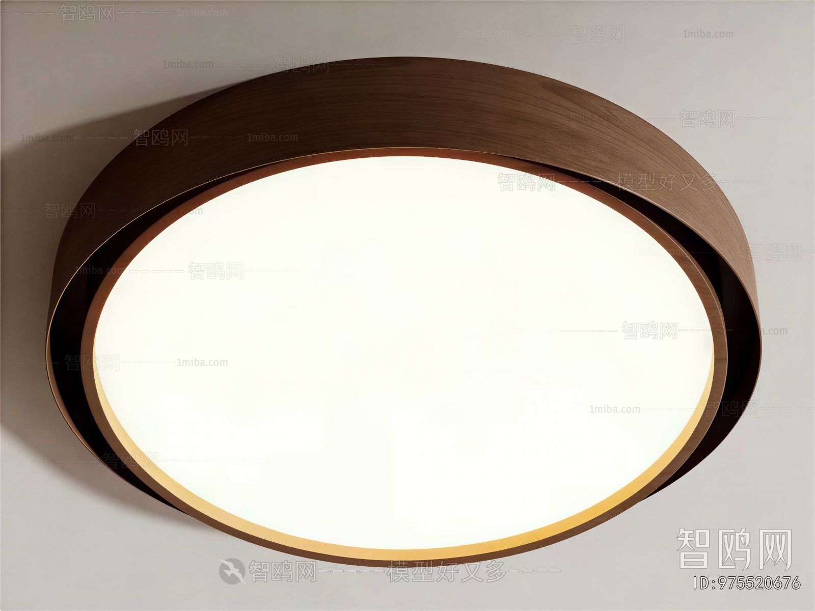 Modern Ceiling Ceiling Lamp