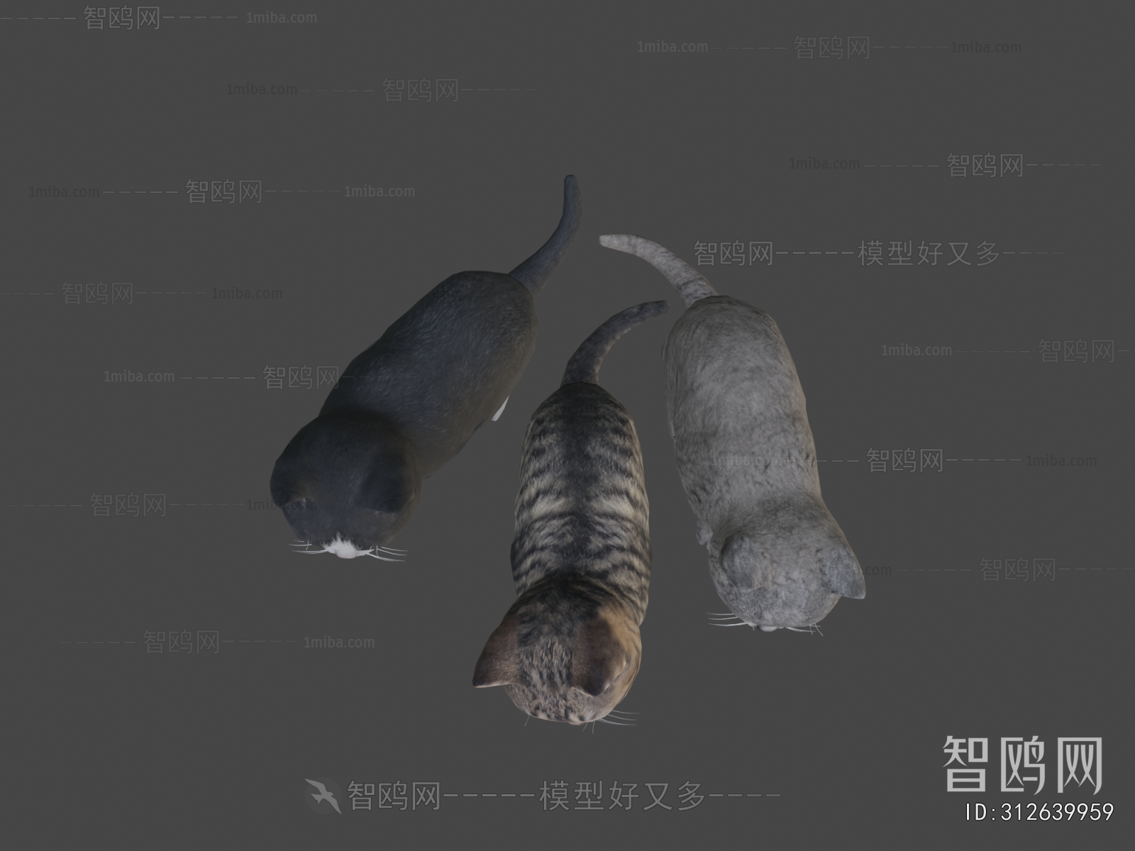 Modern Animal